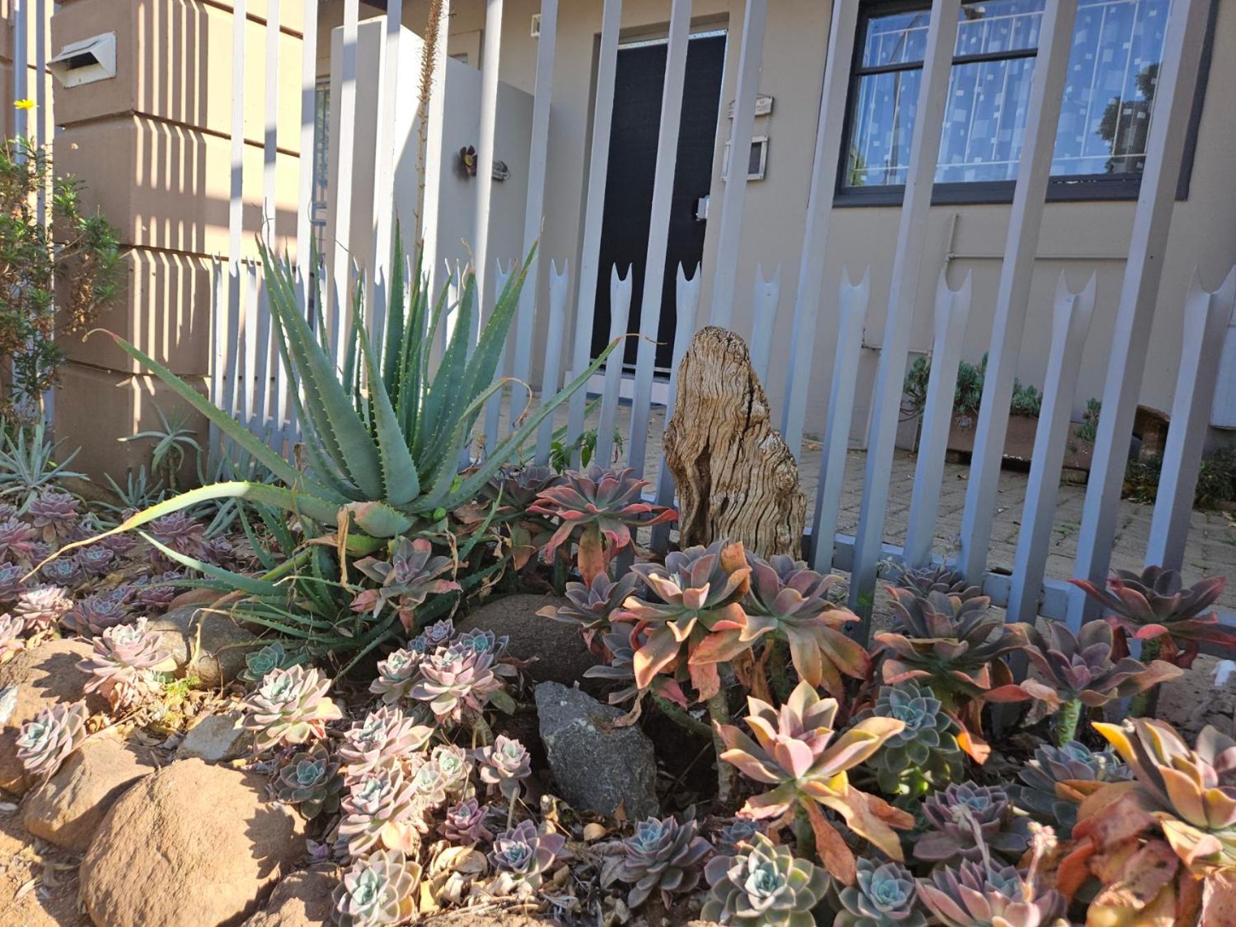 Photo 41