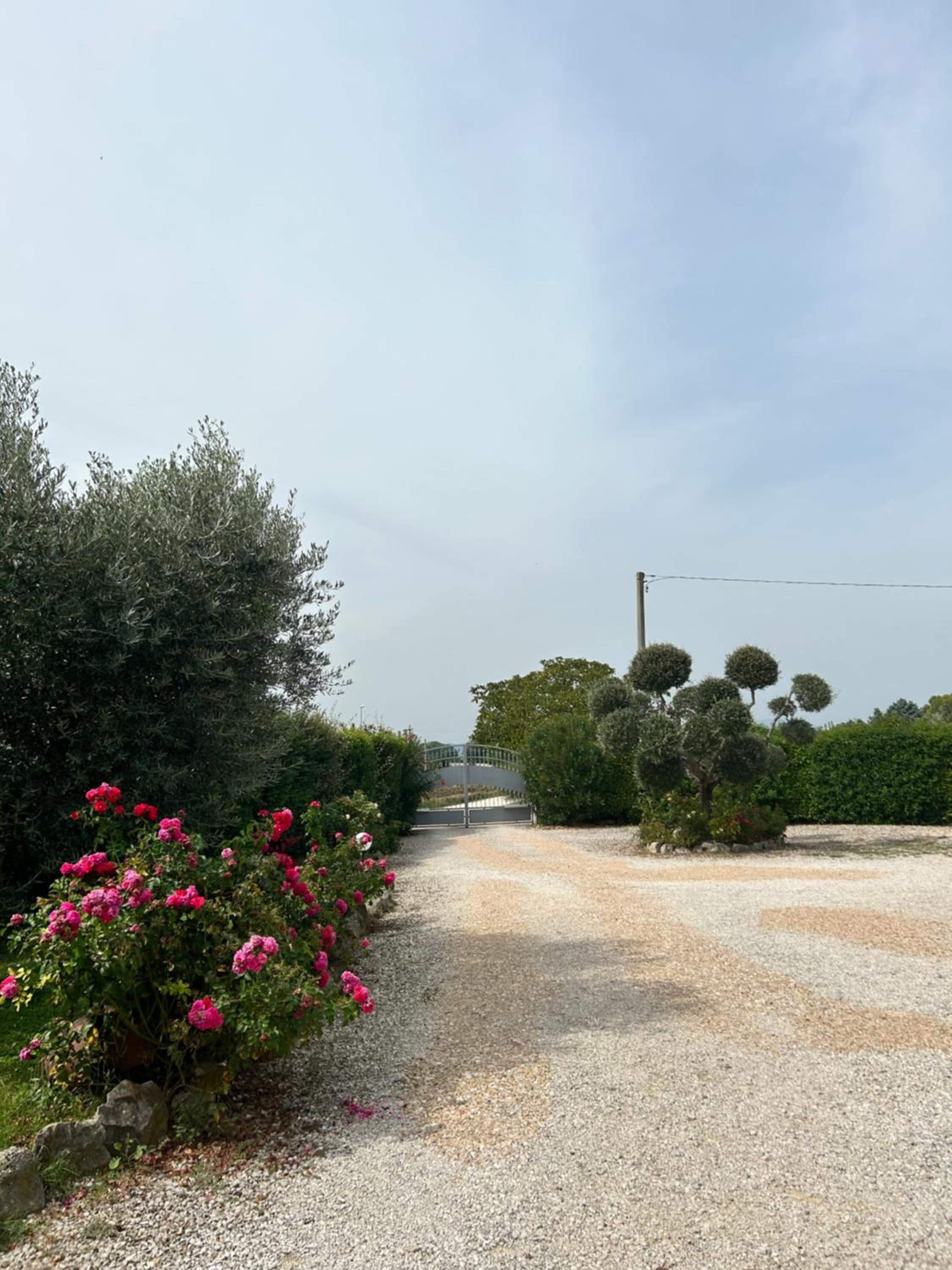 La Perla di Assisi, photo 19
