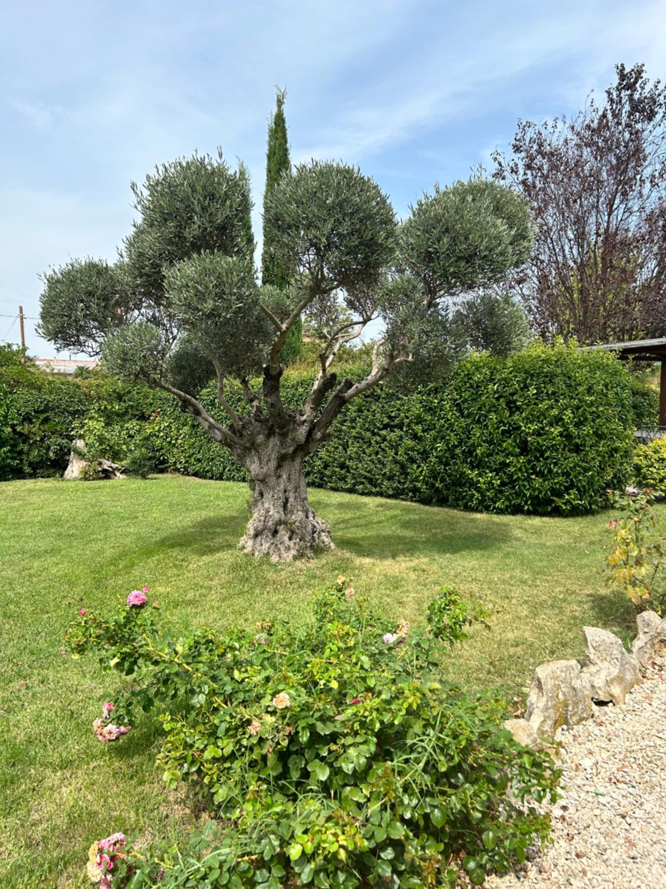 La Perla di Assisi, photo 30