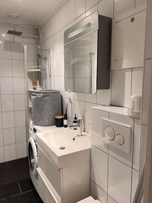 Royal Neighbourhood Elegant Flat In Central Oslo view 5