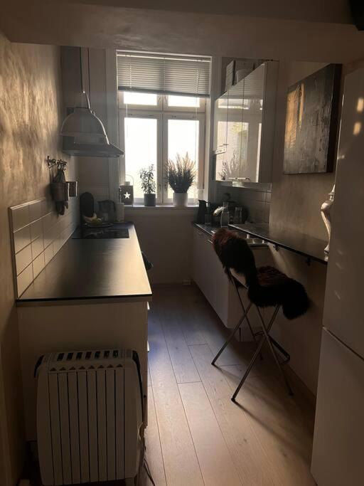 Royal Neighbourhood Elegant Flat In Central Oslo view 4