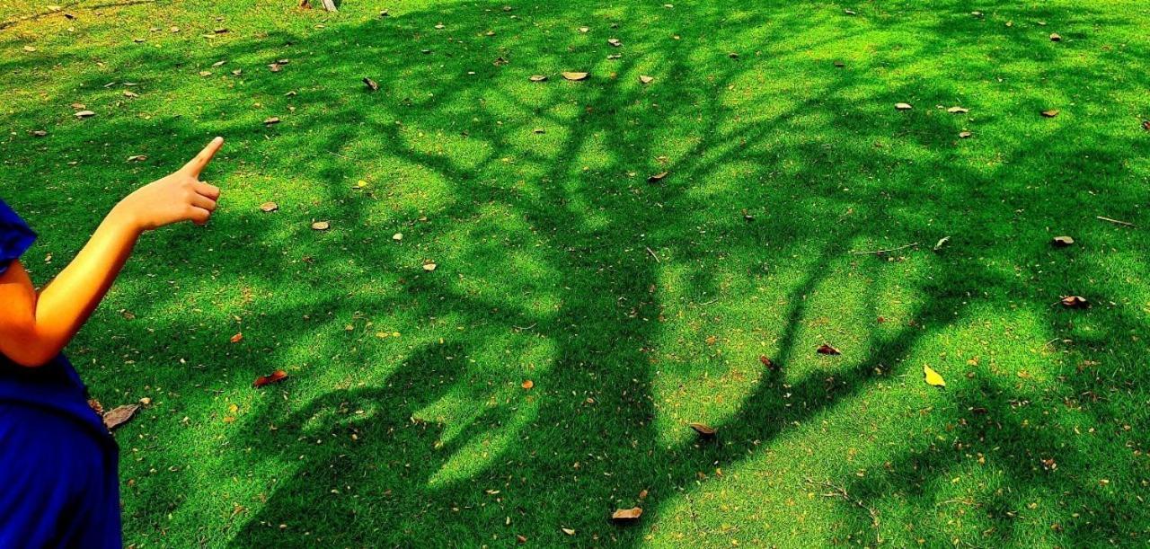 LUCKY PARK 6A