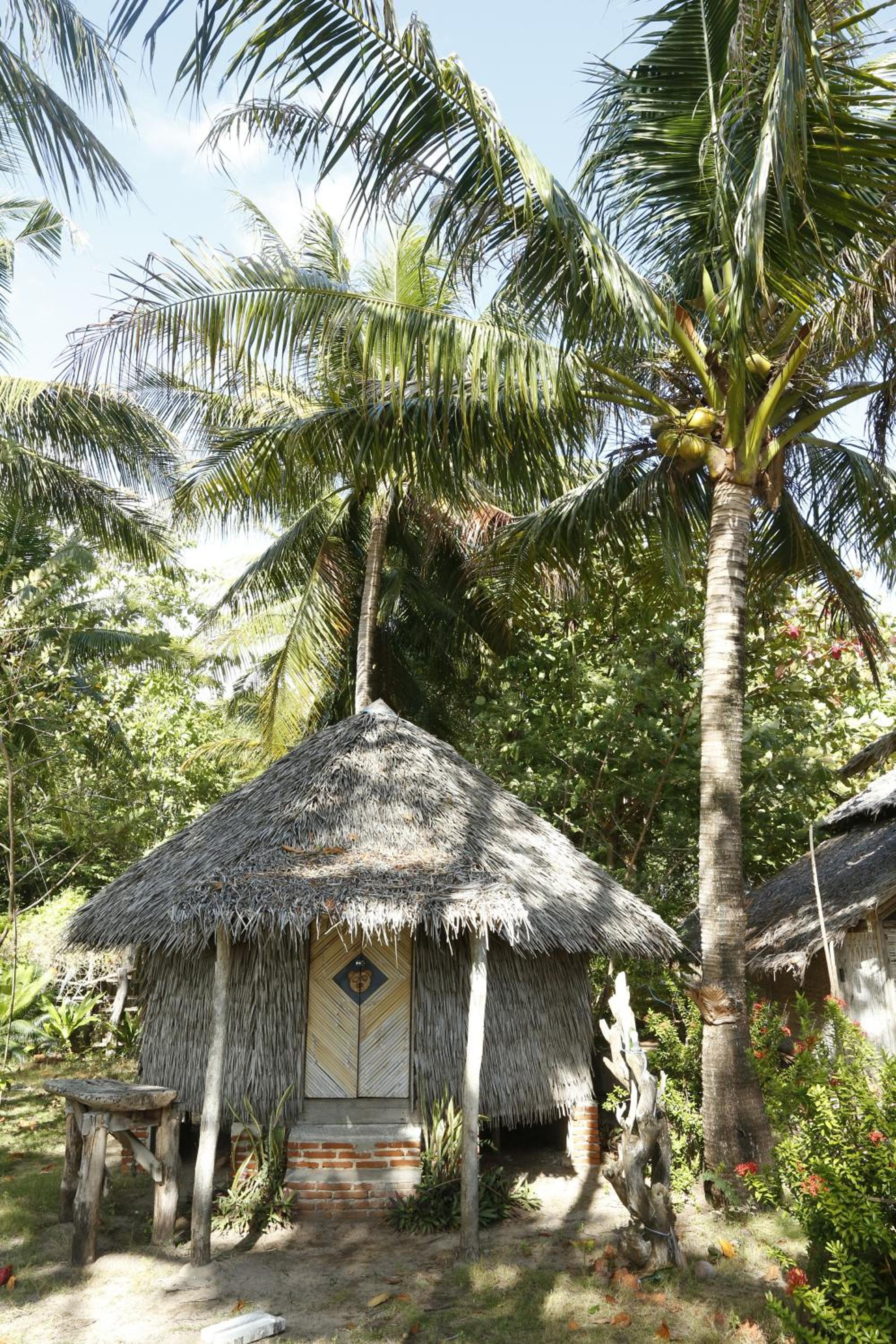 Photo 21