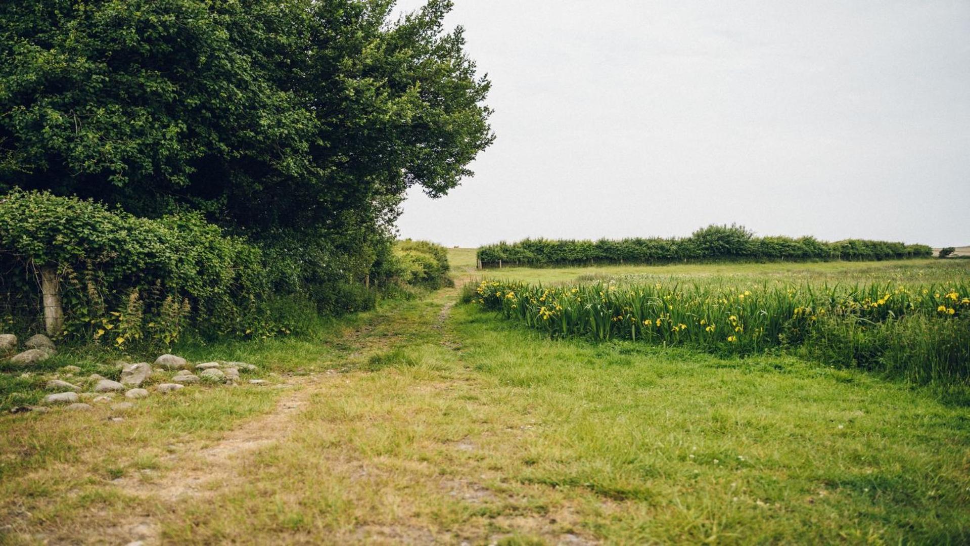 Photo 25