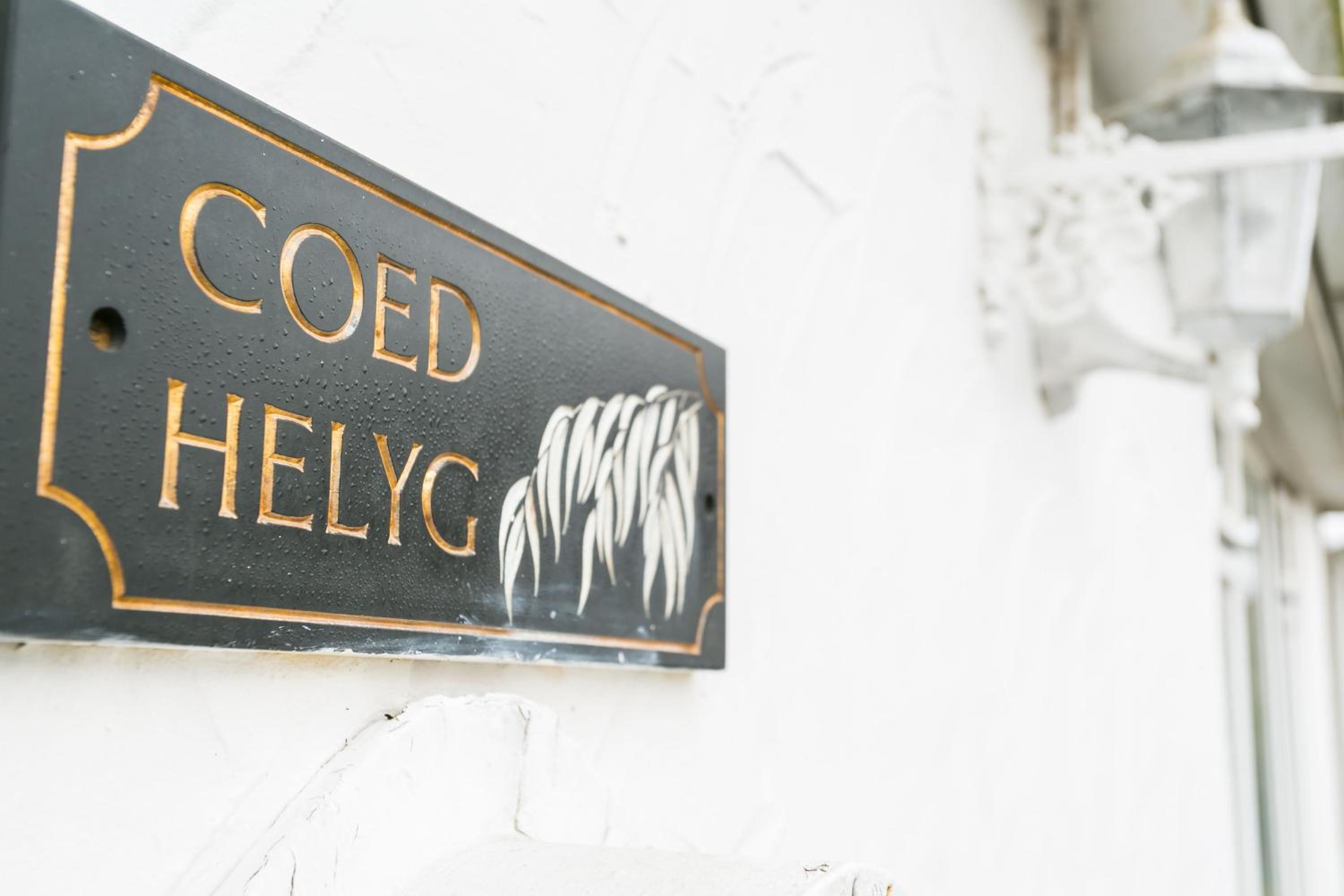 Coed Helyg