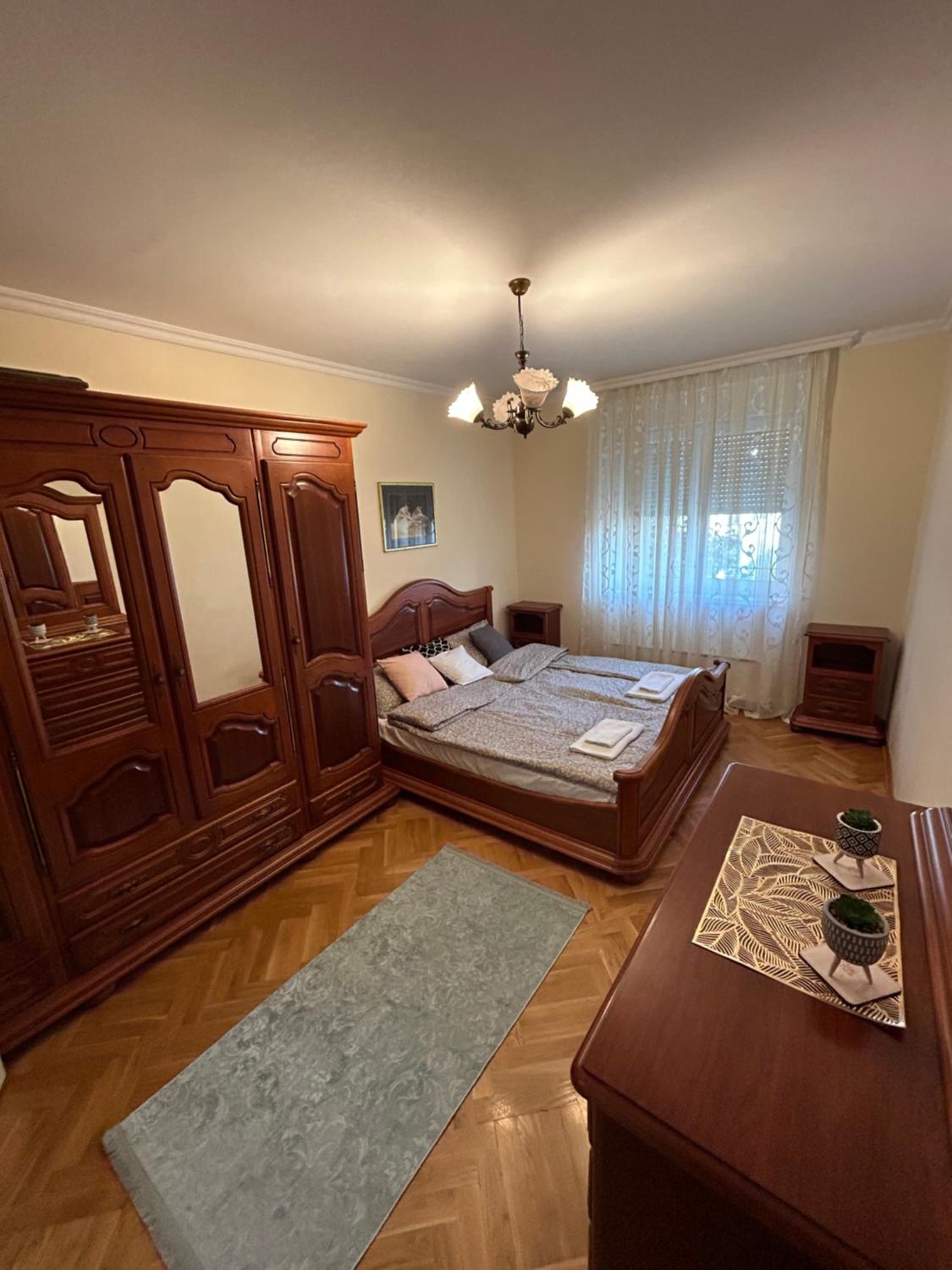 Central apartment Zemun view 3