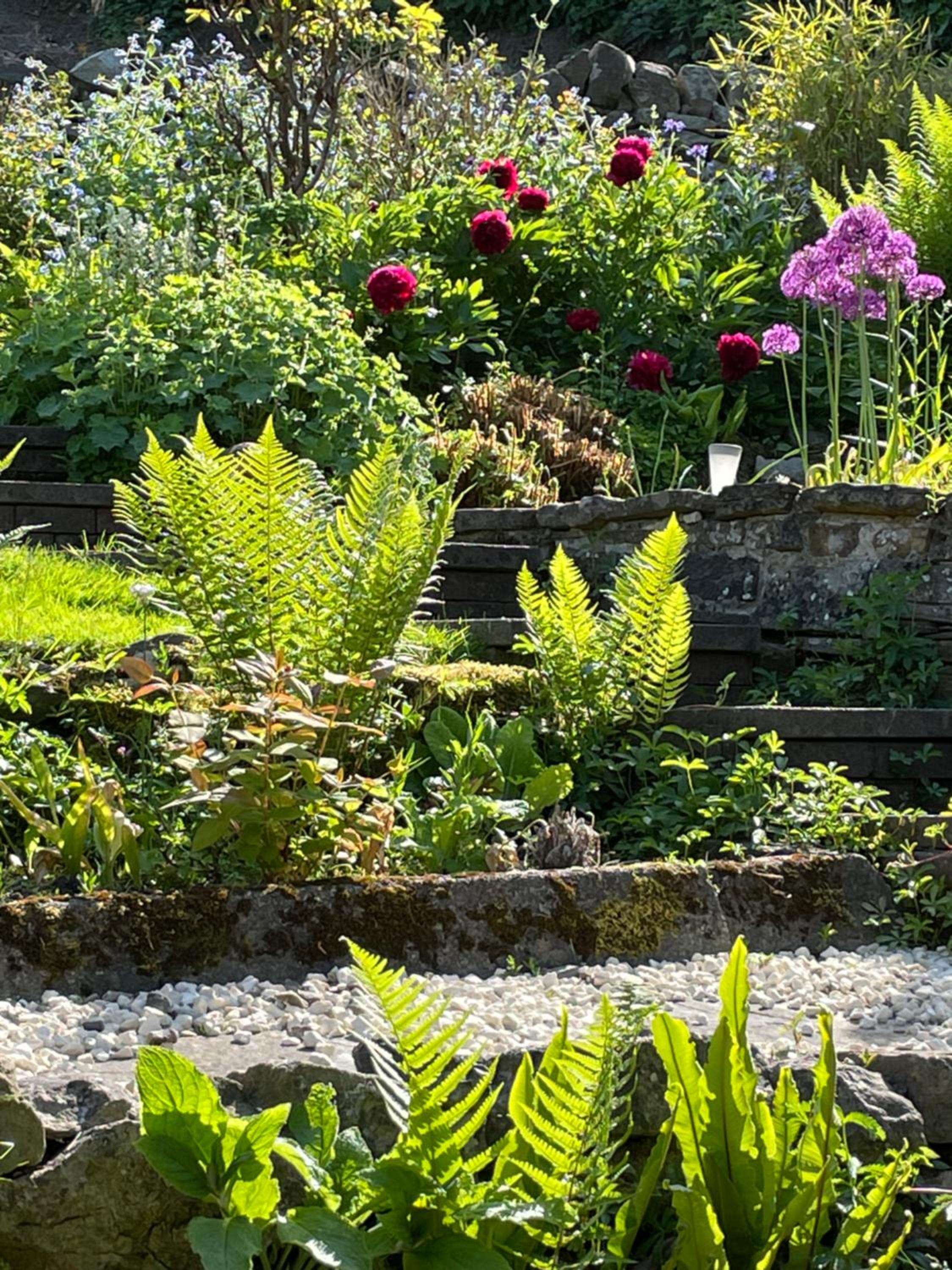 Ellen House Bed and Breakfast