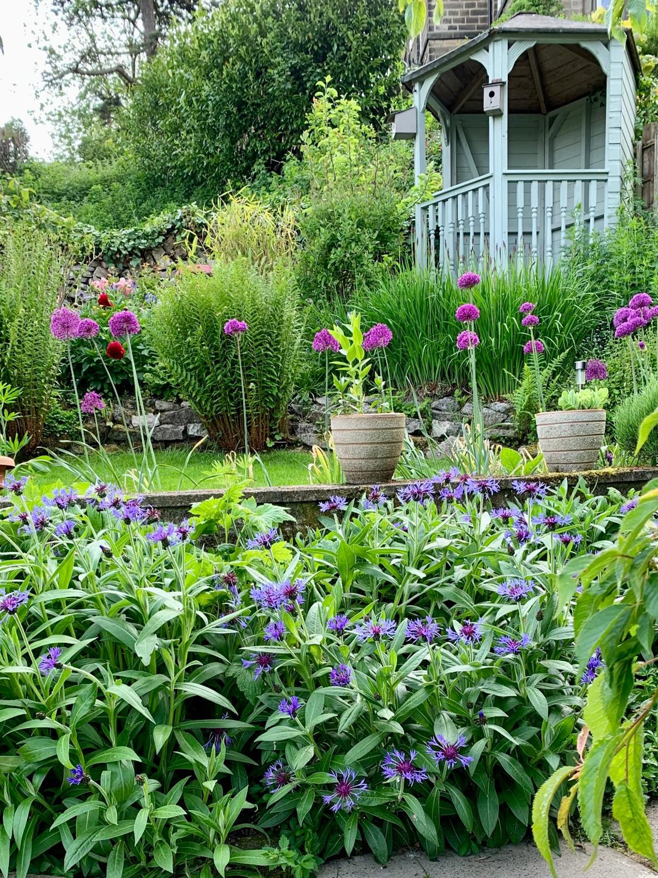 Ellen House Bed and Breakfast