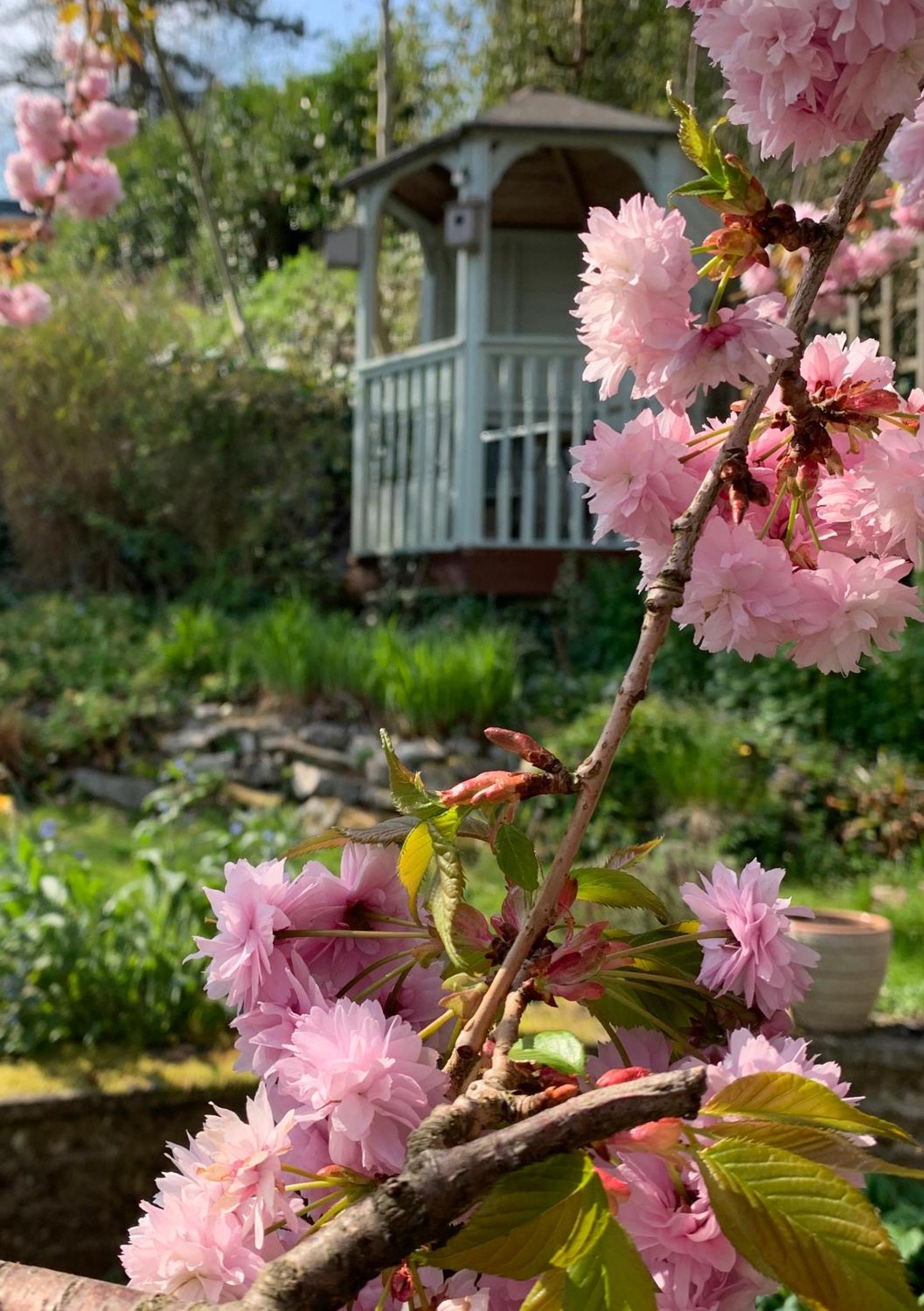 Ellen House Bed and Breakfast