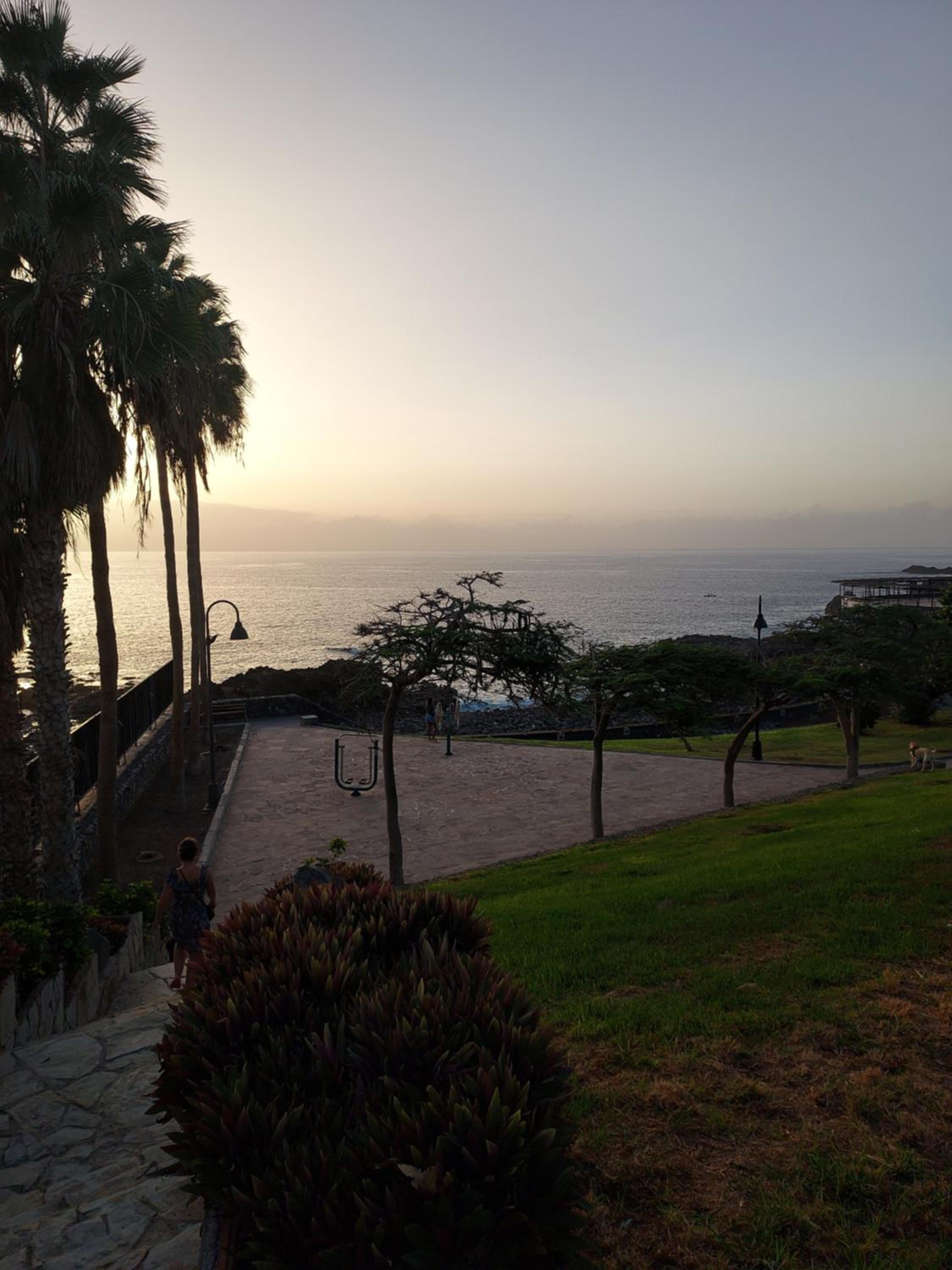 Club La Mar photo 2