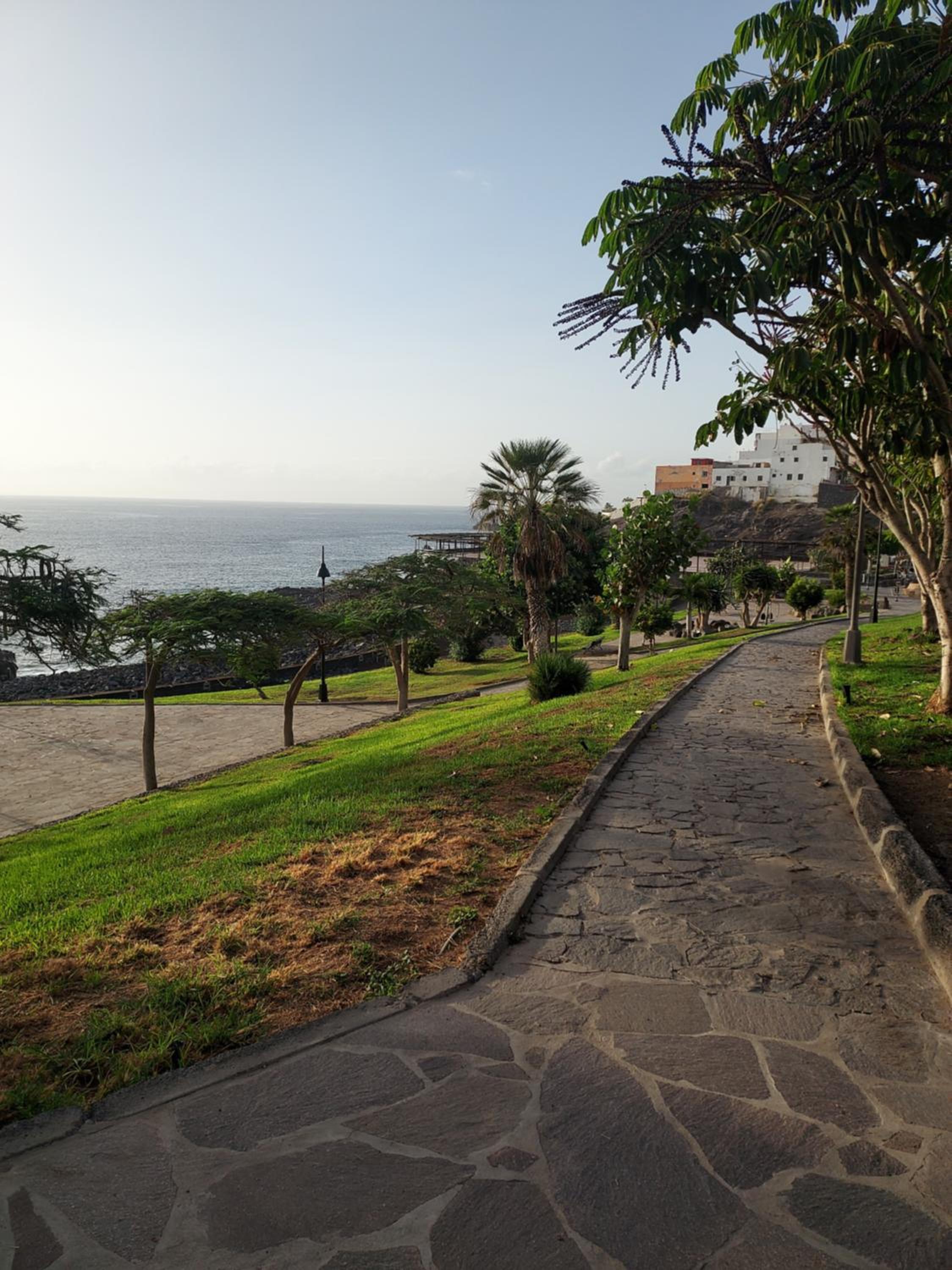 Club La Mar photo 5
