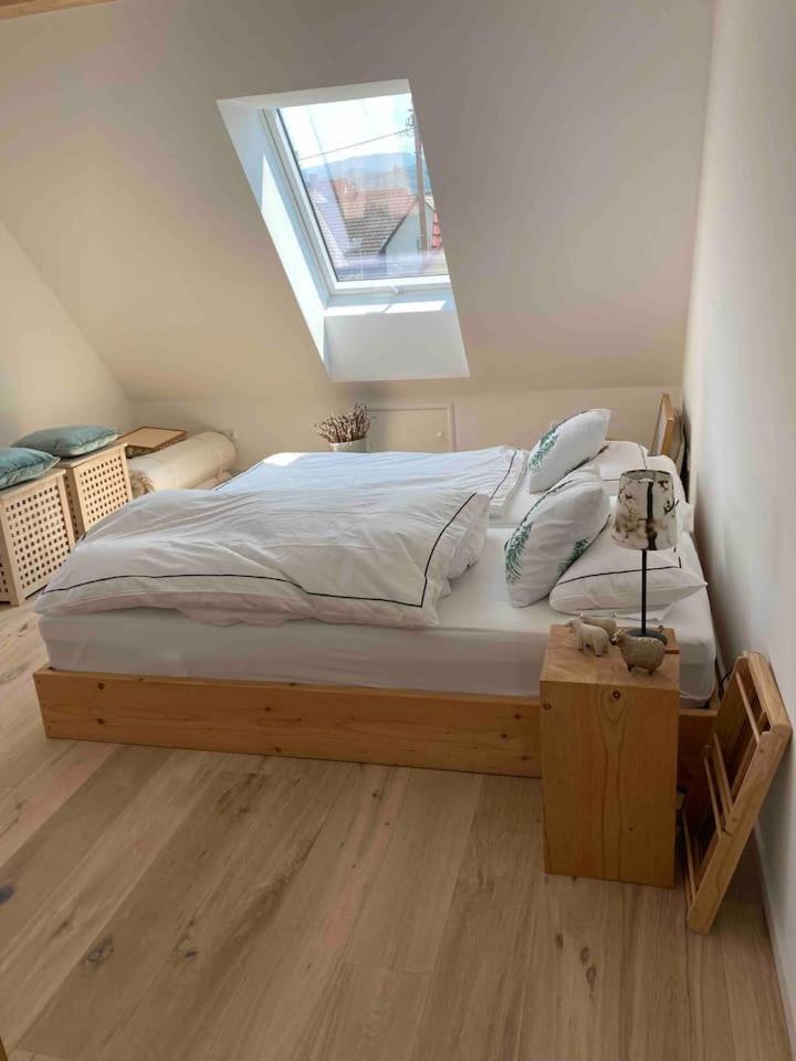 Modernes Penthouse-Loft mit KONUSKarte für kostenfreien ÖPNV