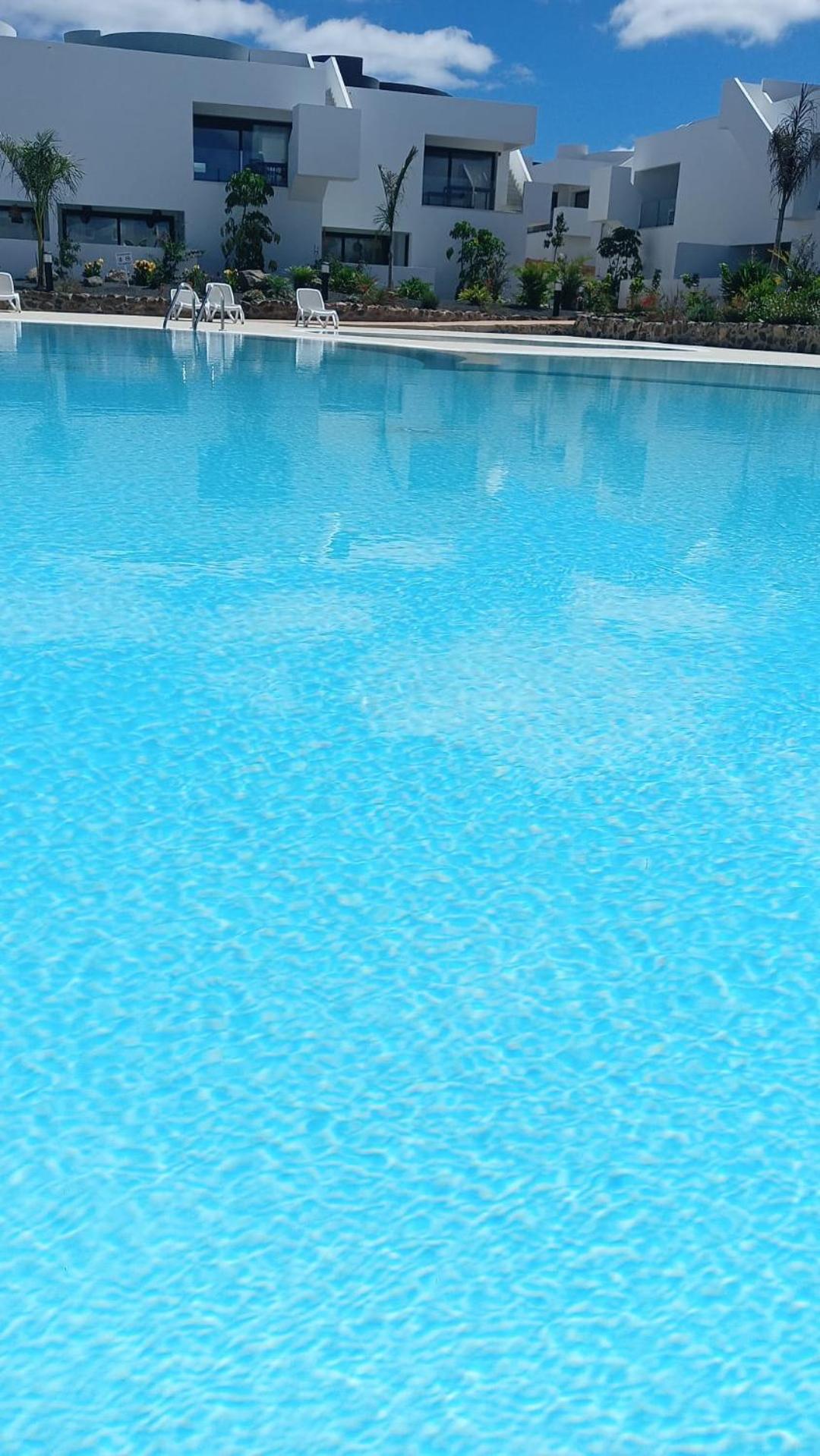 Aulaga
