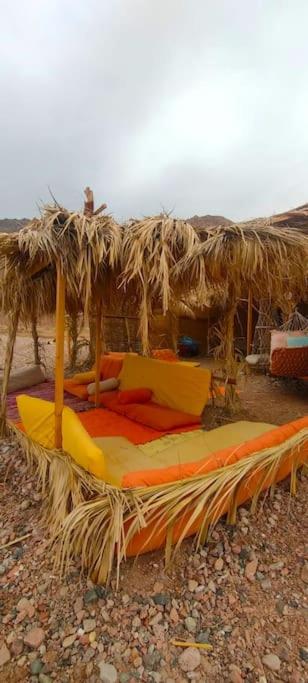Fully equipped Remote off-grid Solar Wooden Home