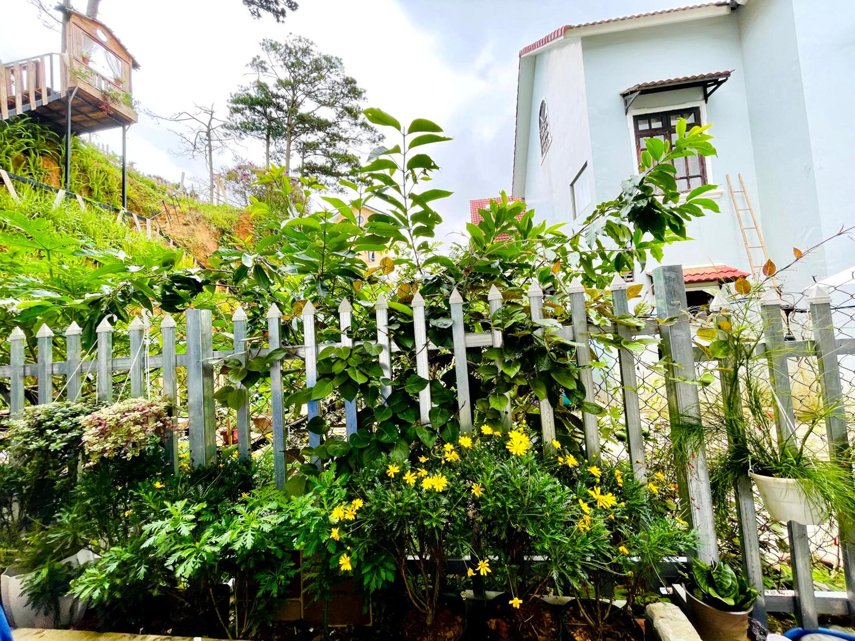 Photo 17