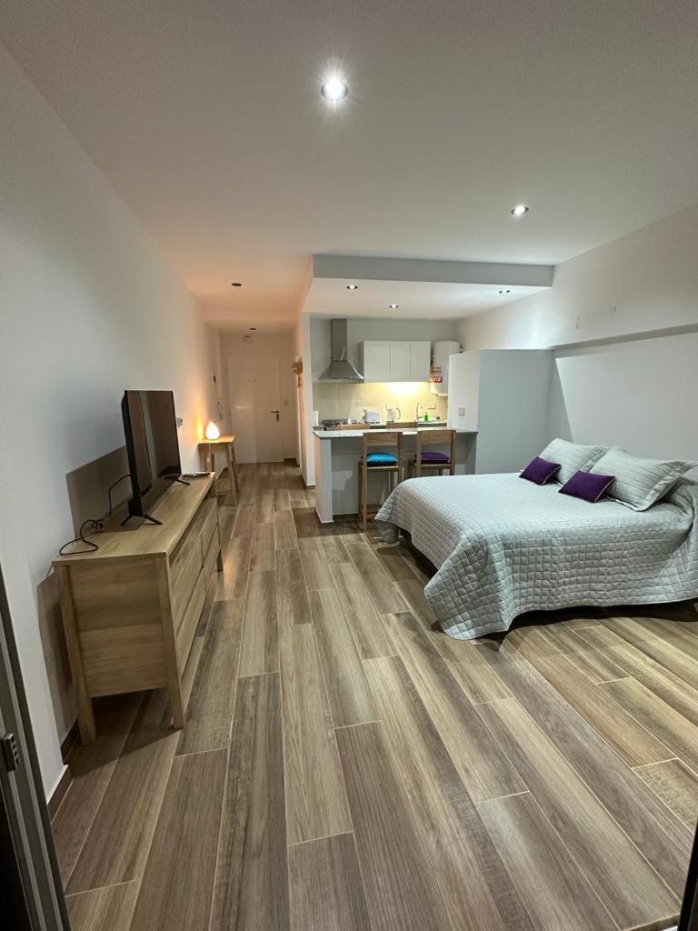 Monoambiente 50 y 28