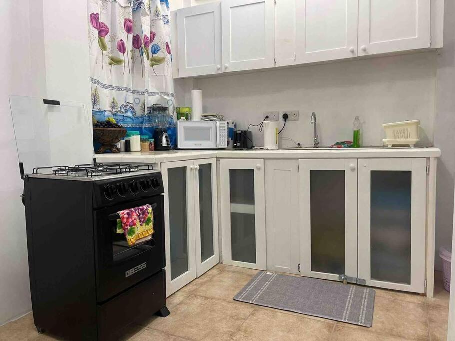 Roseau City Hub apt # 3