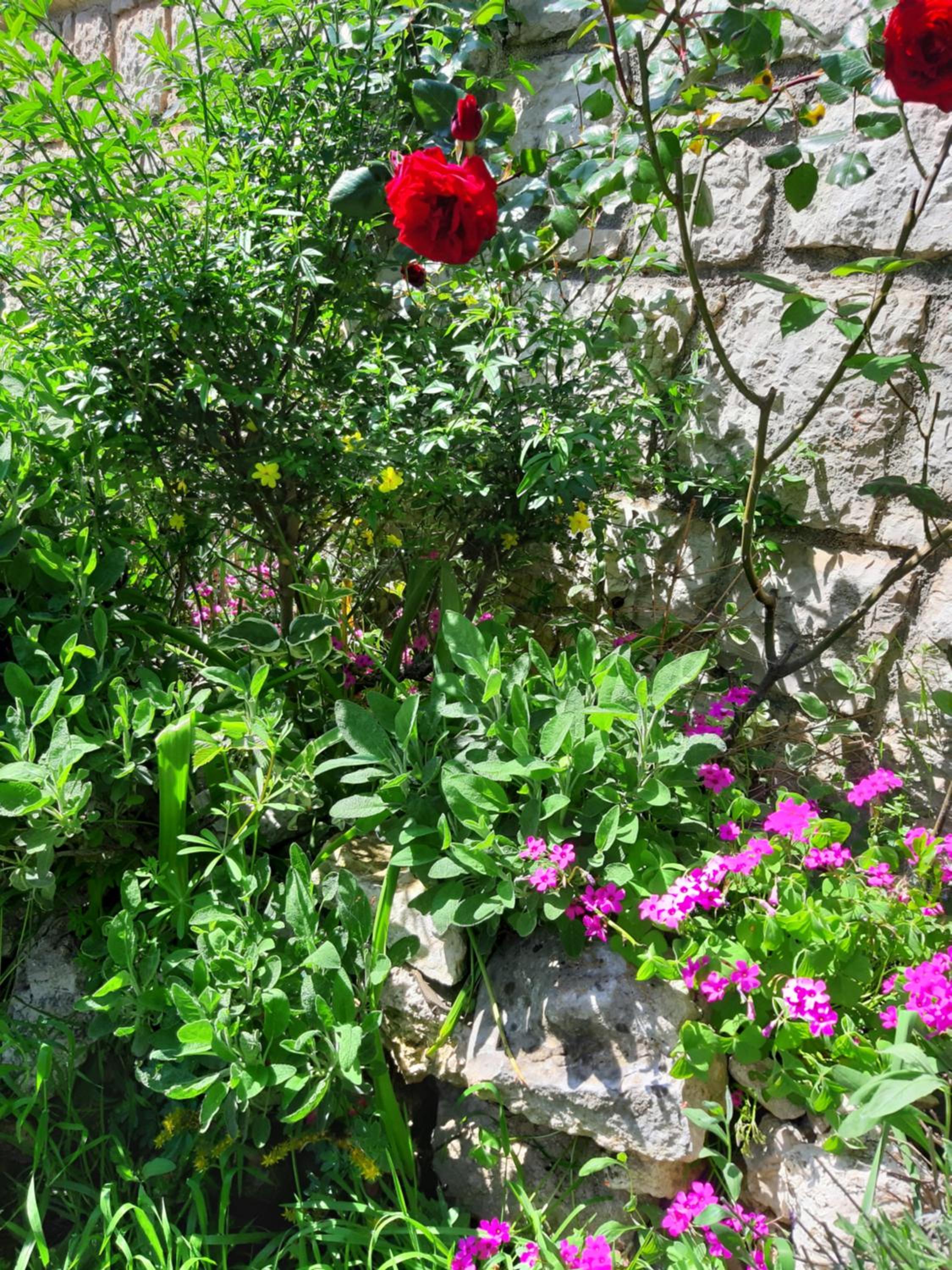 Photo 23