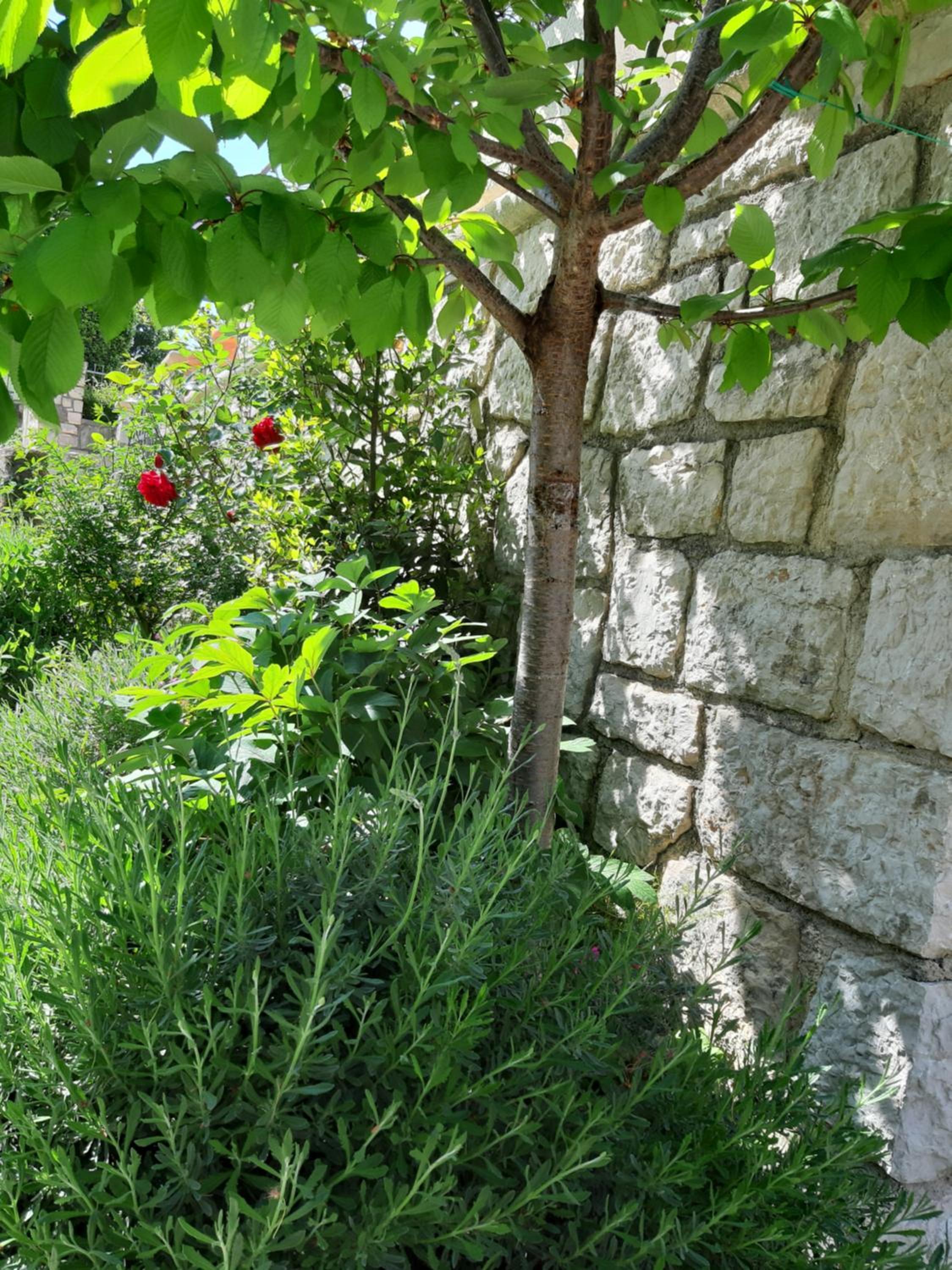 Adria Vrsar view 5