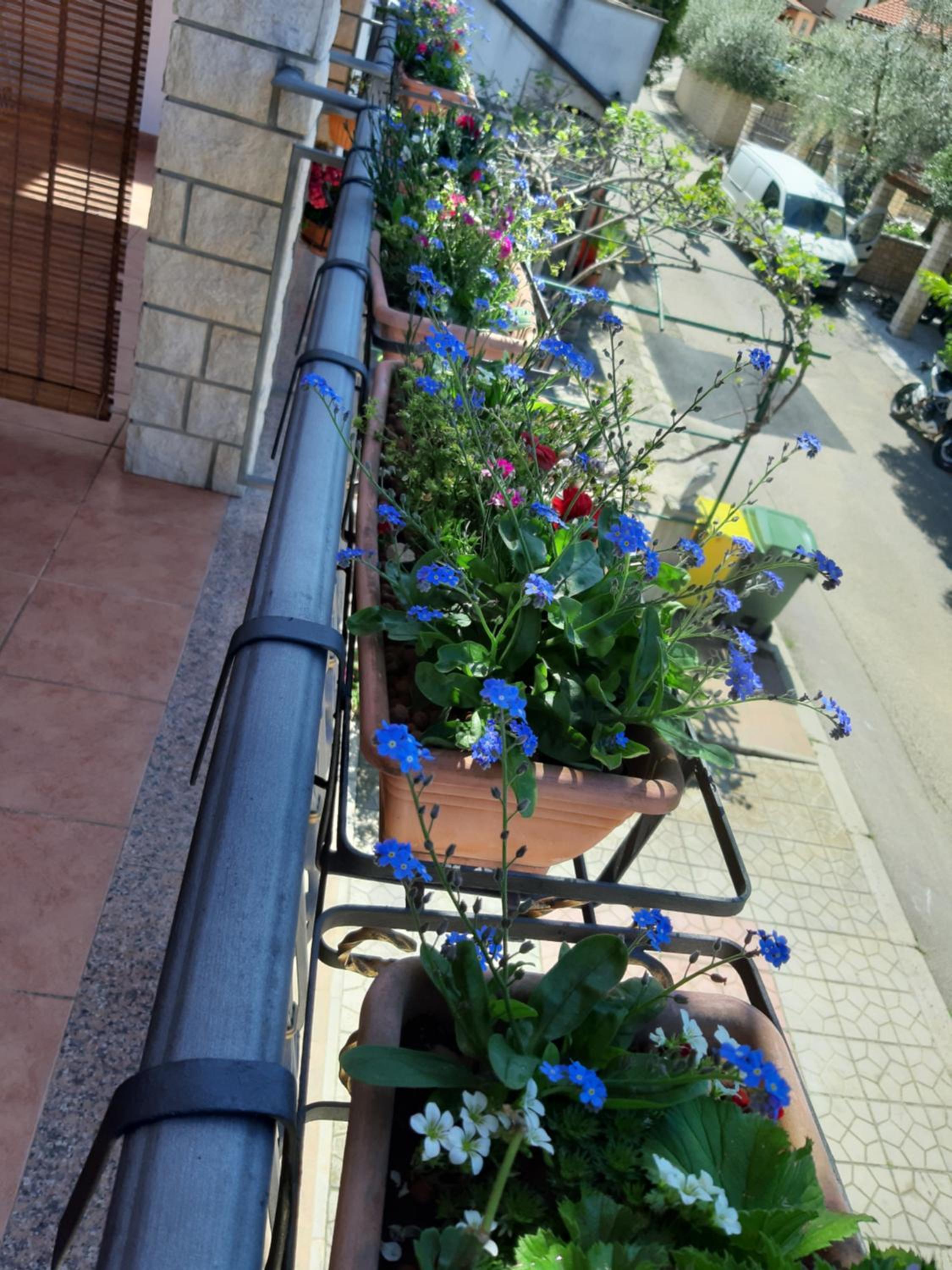 Adria Vrsar view 4