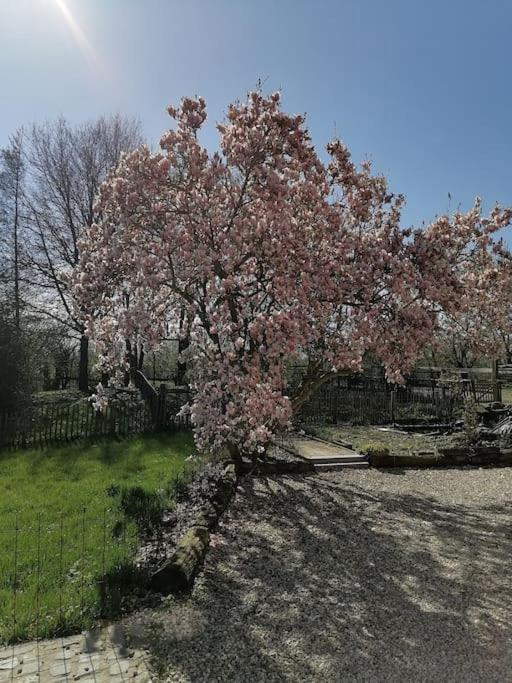 Gite rural La Ferme du Semeur-Zaaiershof
