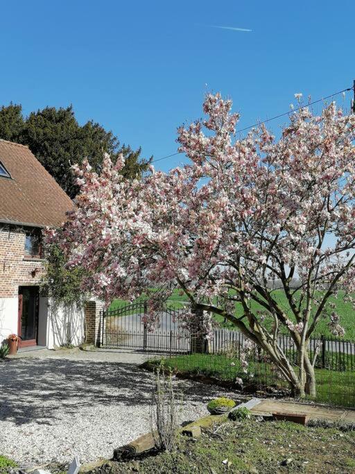 Gite rural La Ferme du Semeur-Zaaiershof