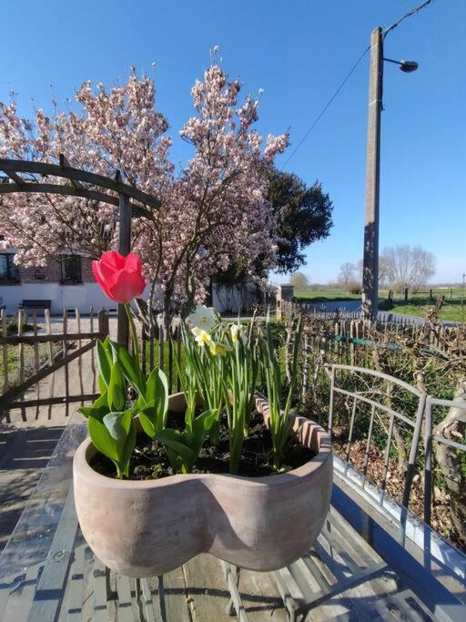 Gite rural La Ferme du Semeur-Zaaiershof