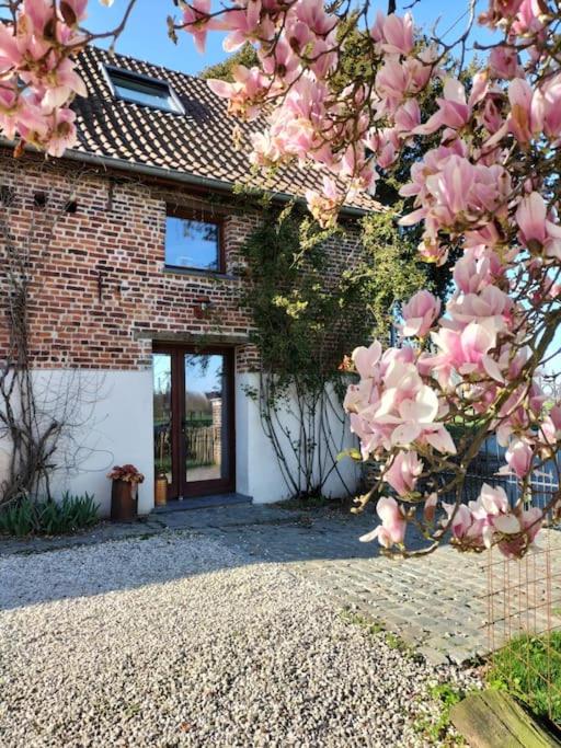 Gite rural La Ferme du Semeur-Zaaiershof
