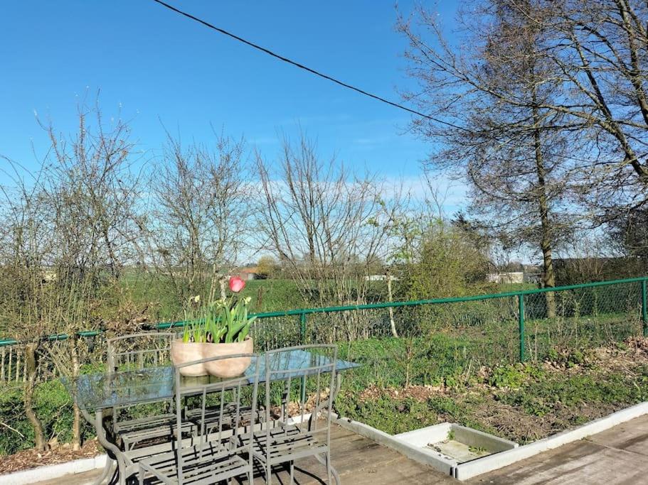 Gite rural La Ferme du Semeur-Zaaiershof