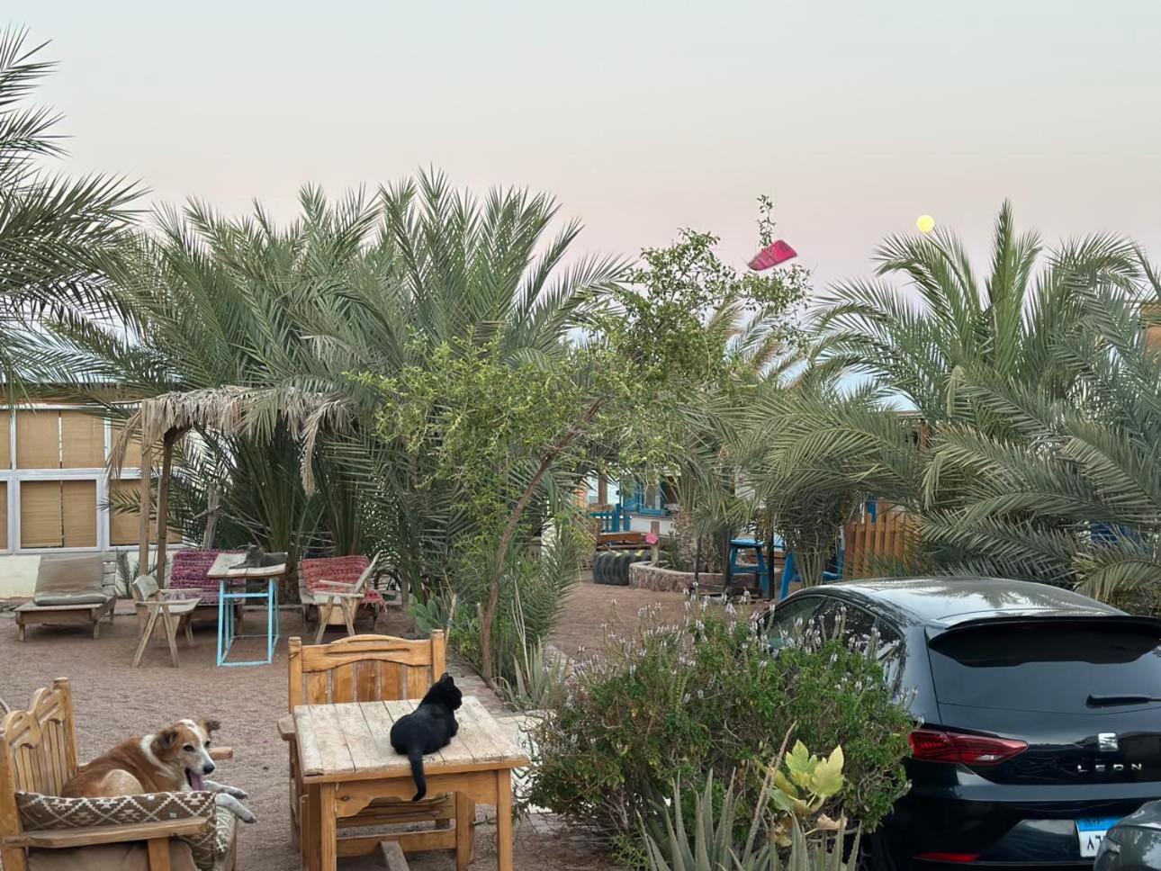 Marine Garden Camp