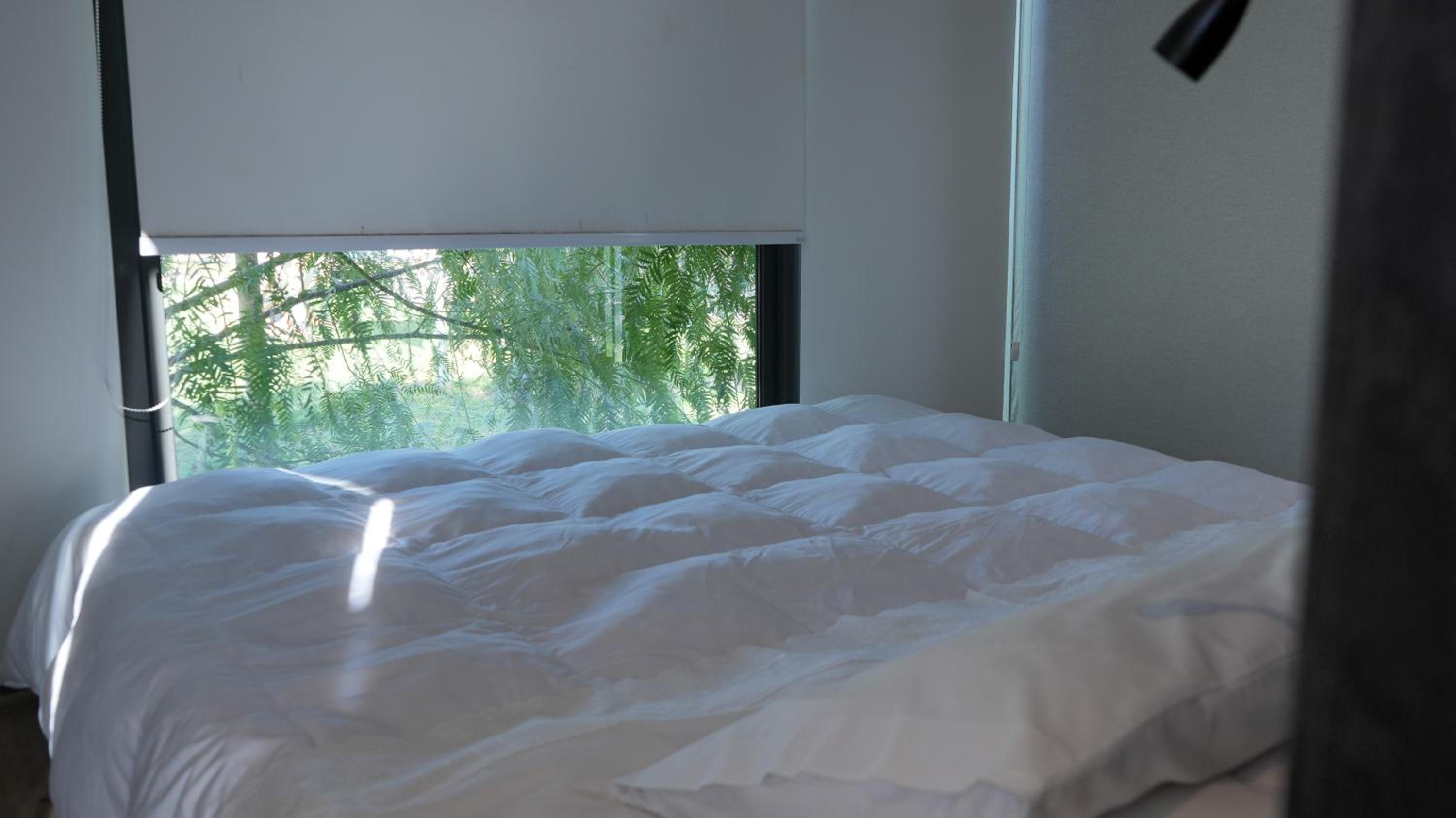 Cabañas Tinycolchagua cl