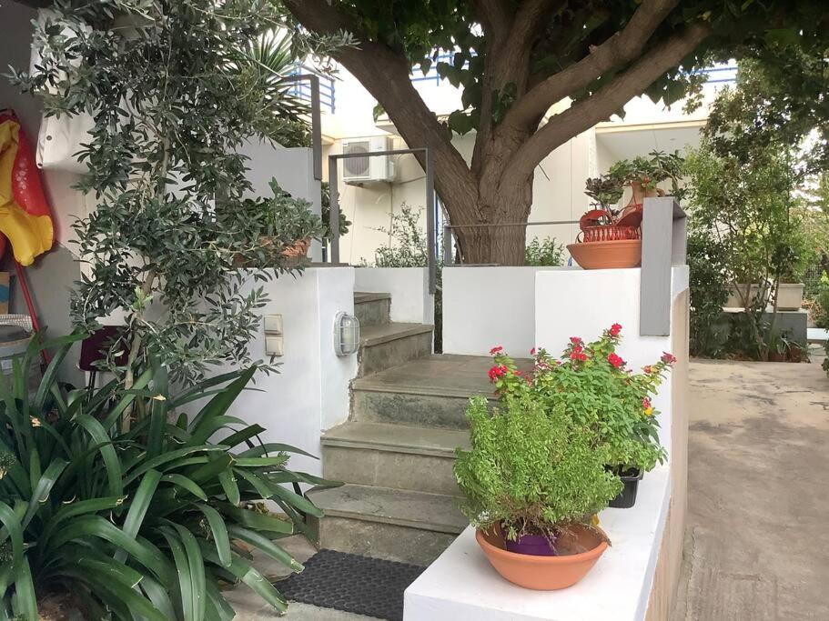 Diminio House