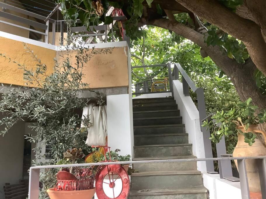 Diminio House