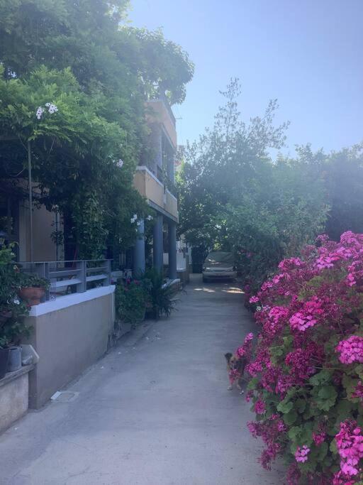 Diminio House