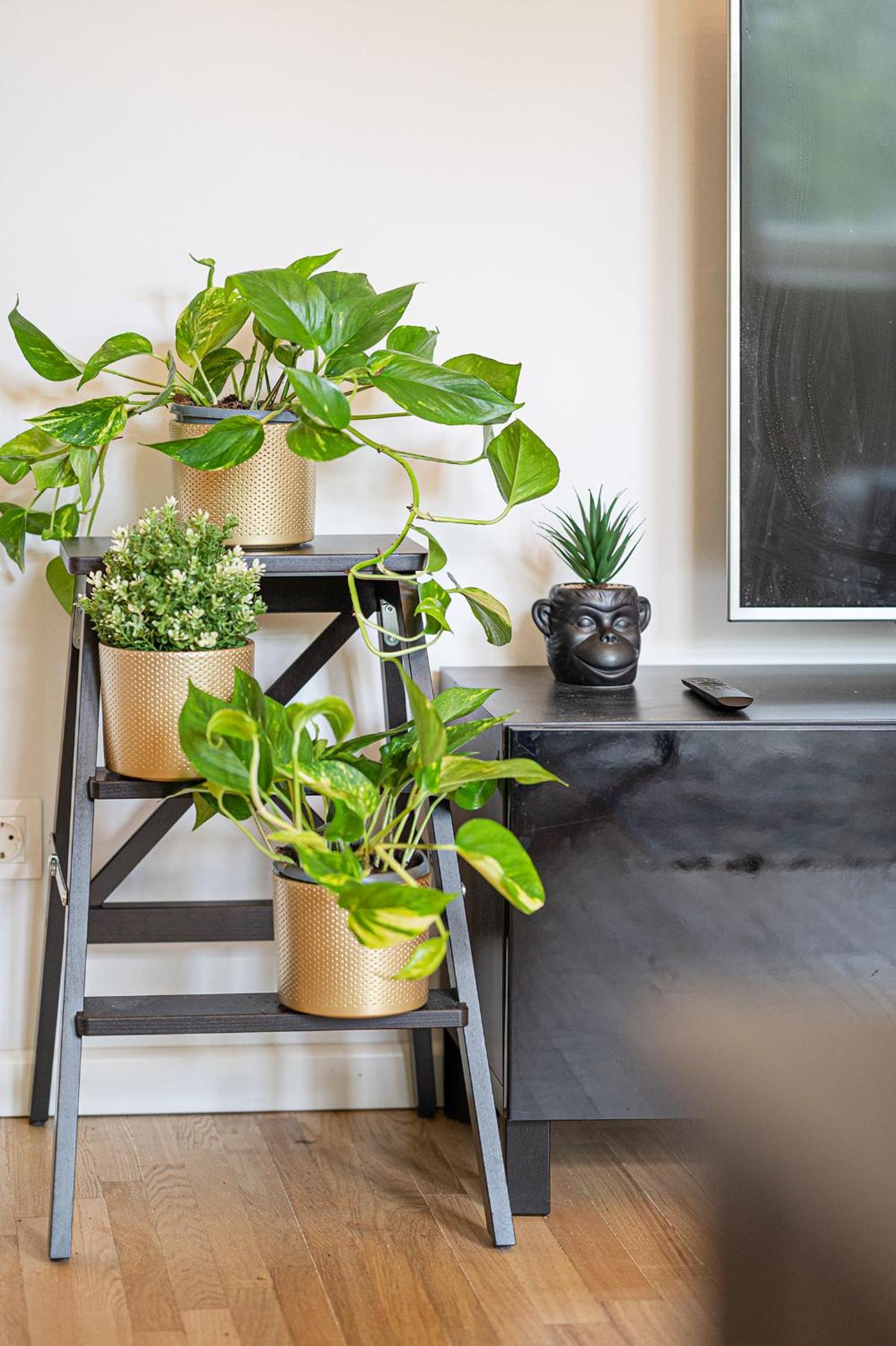 Premium City Center Lukiskiu Apartment