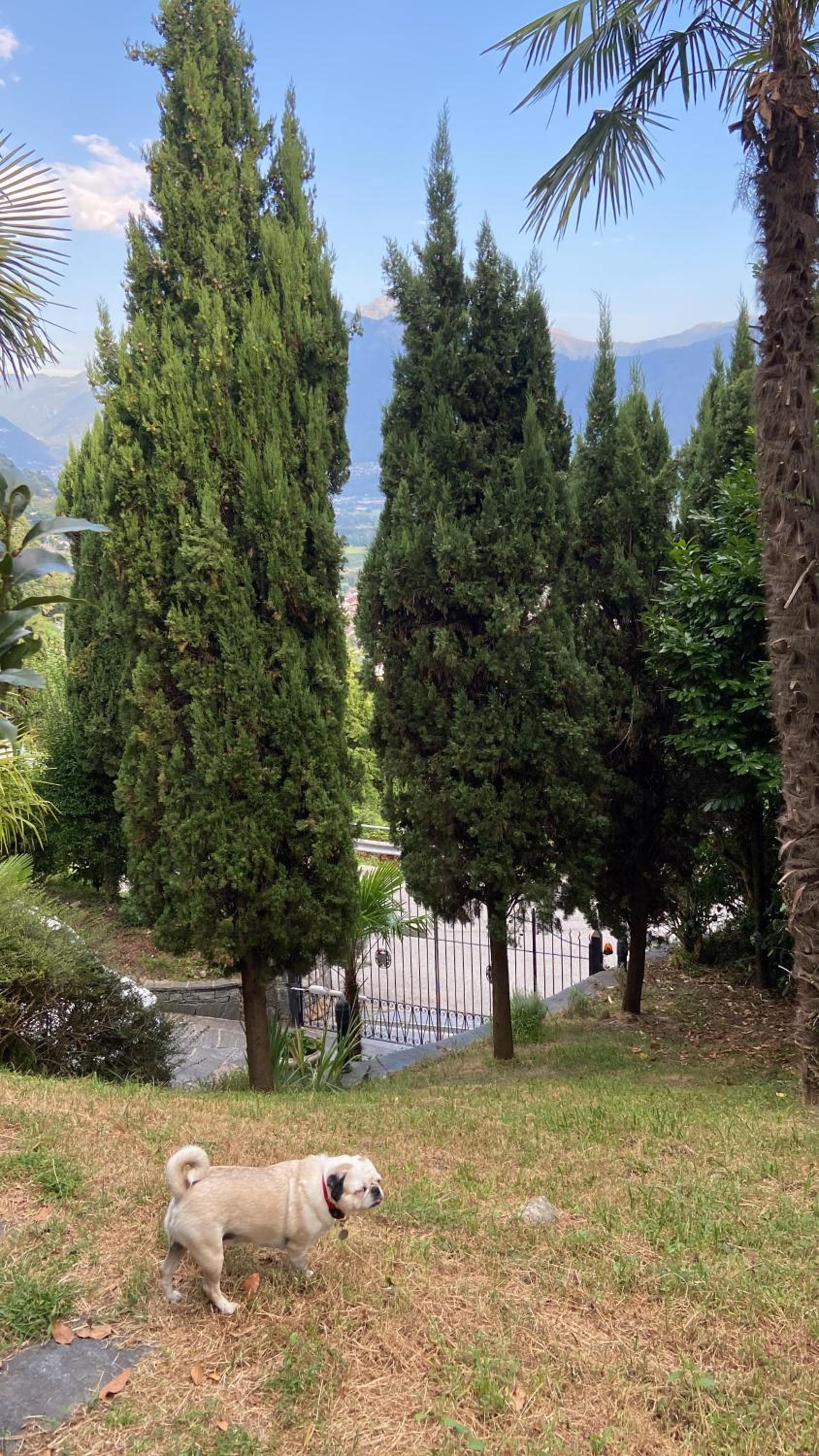 Sete Fontes - Agarone Holiday Nest