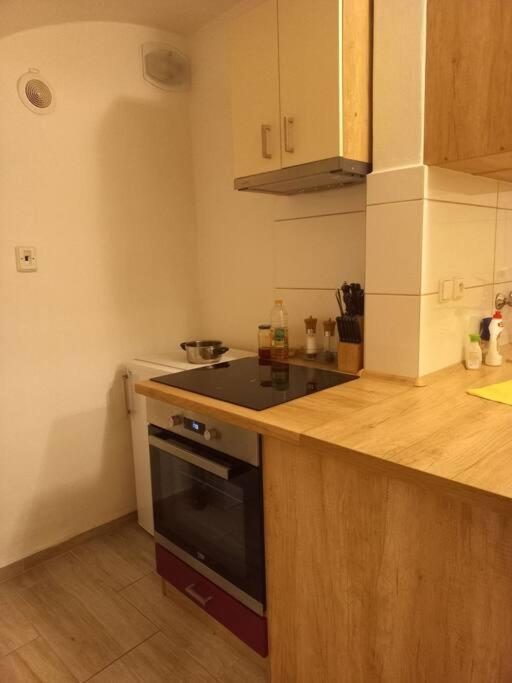 Bytová jednotka v Táboře Lužnická 423