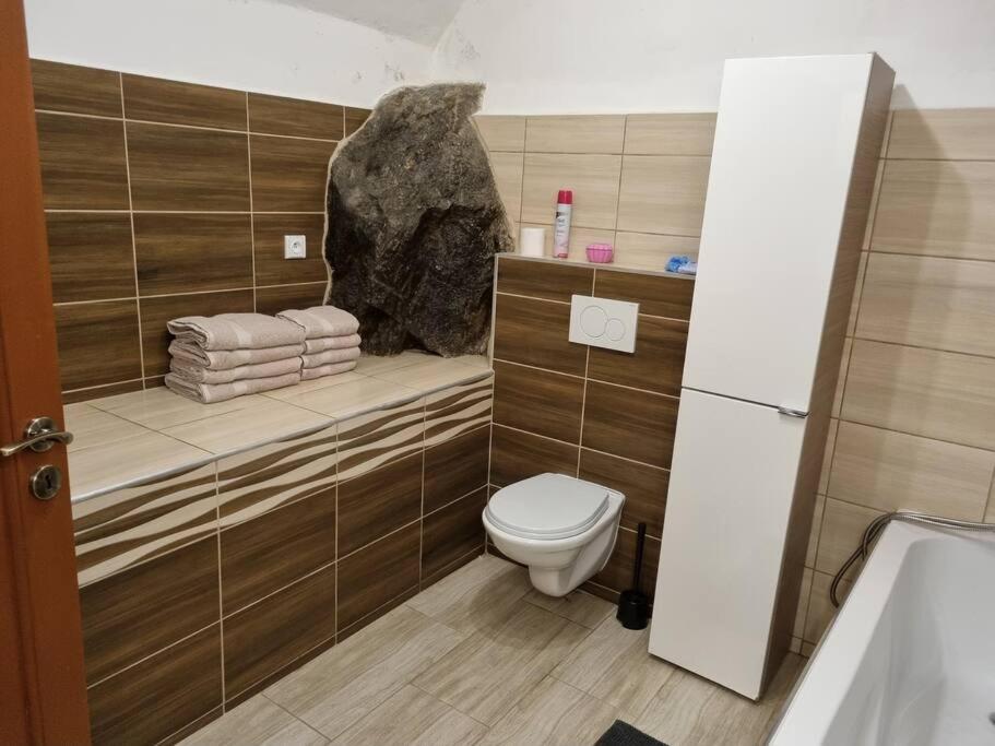 Bytová jednotka v Táboře Lužnická 423