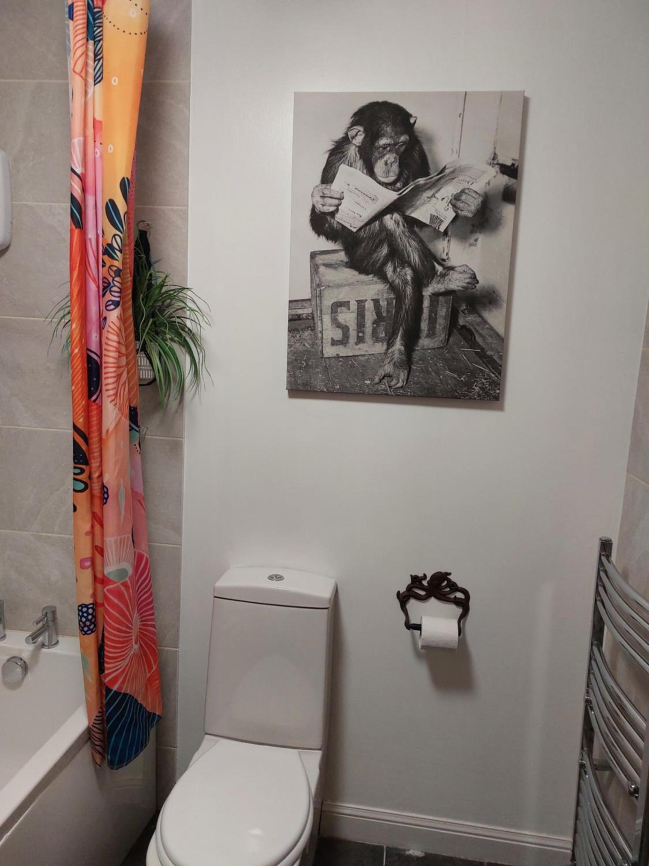 Photo 23