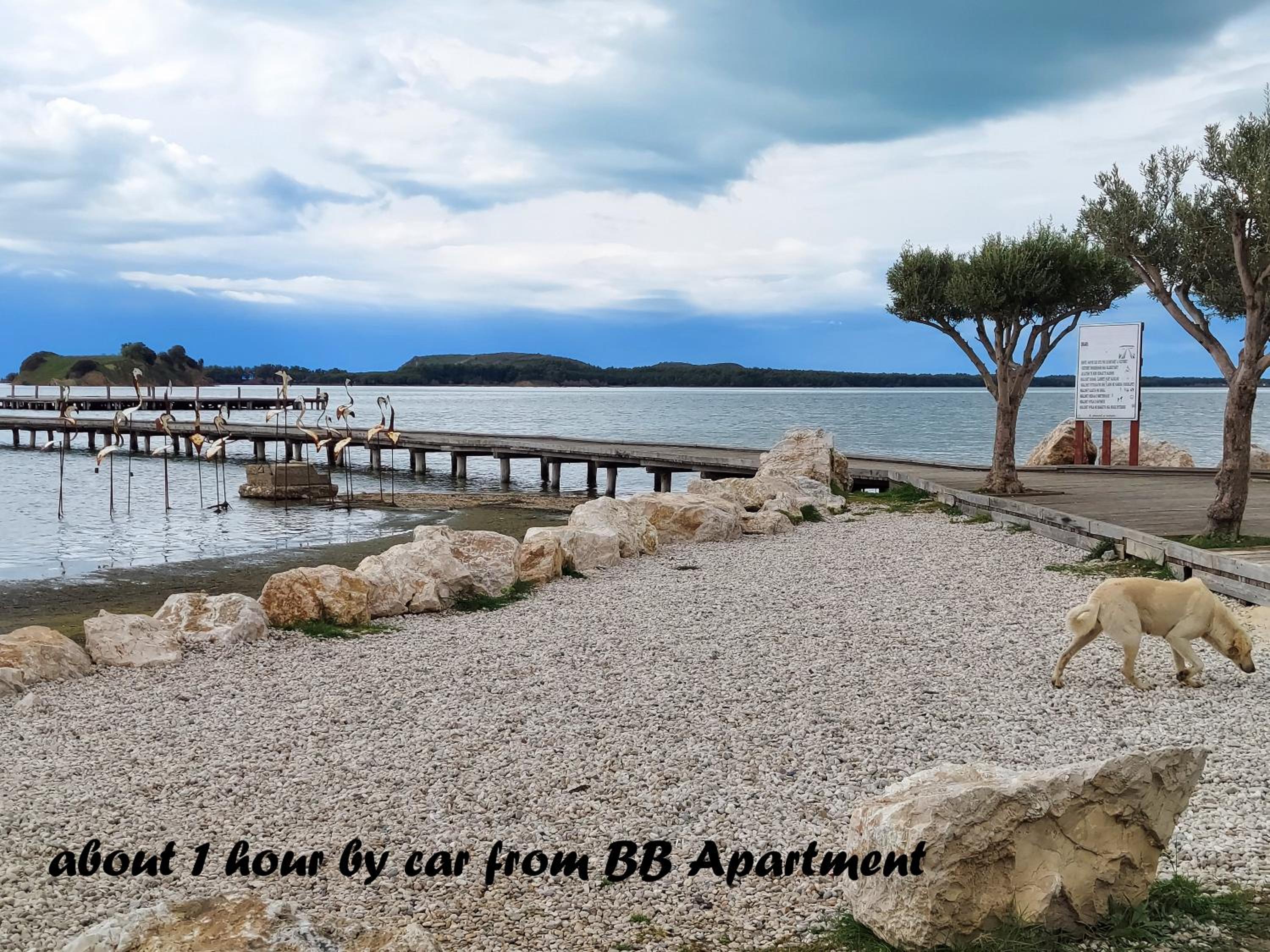 Bianca Beach Apartment