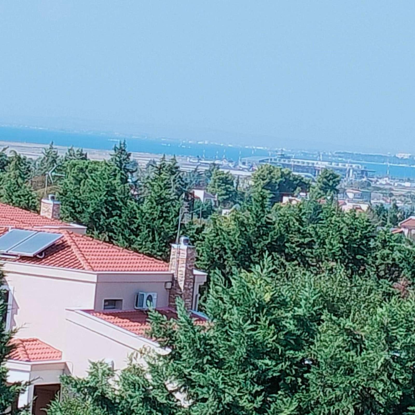 Luxury appartment, only 7 minutes from Thessaloniki airport and 15 minutes from city center ,for 8-23 people also for gatherings and parties view 2