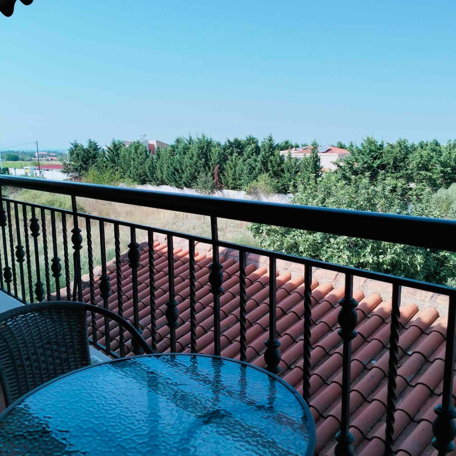 Luxury appartment, only 7 minutes from Thessaloniki airport and 15 minutes from city center ,for 8-23 people also for gatherings and parties view 4