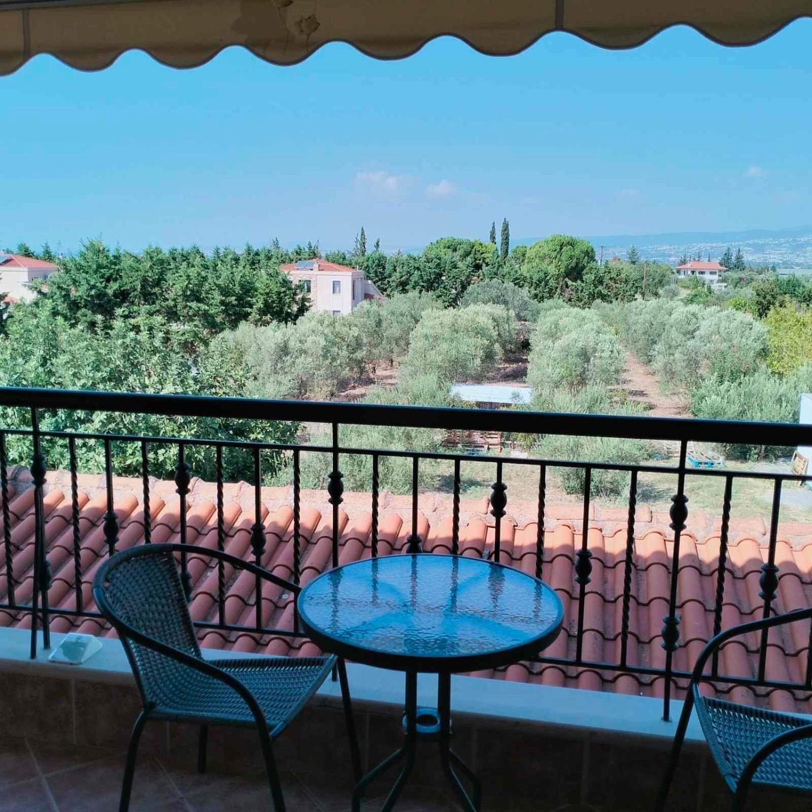Luxury appartment, only 7 minutes from Thessaloniki airport and 15 minutes from city center ,for 8-23 people also for gatherings and parties view 5