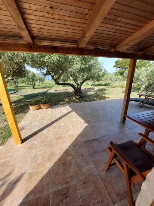 Robinson house Sea & olives view 3