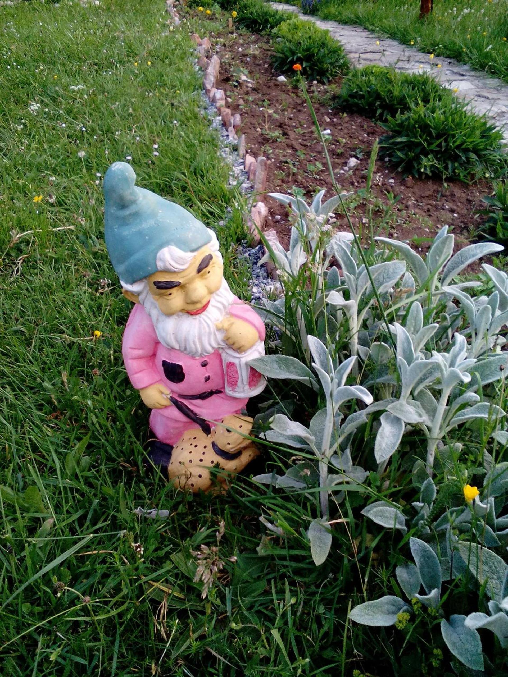 Photo 56