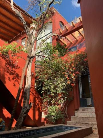 Photo 44
