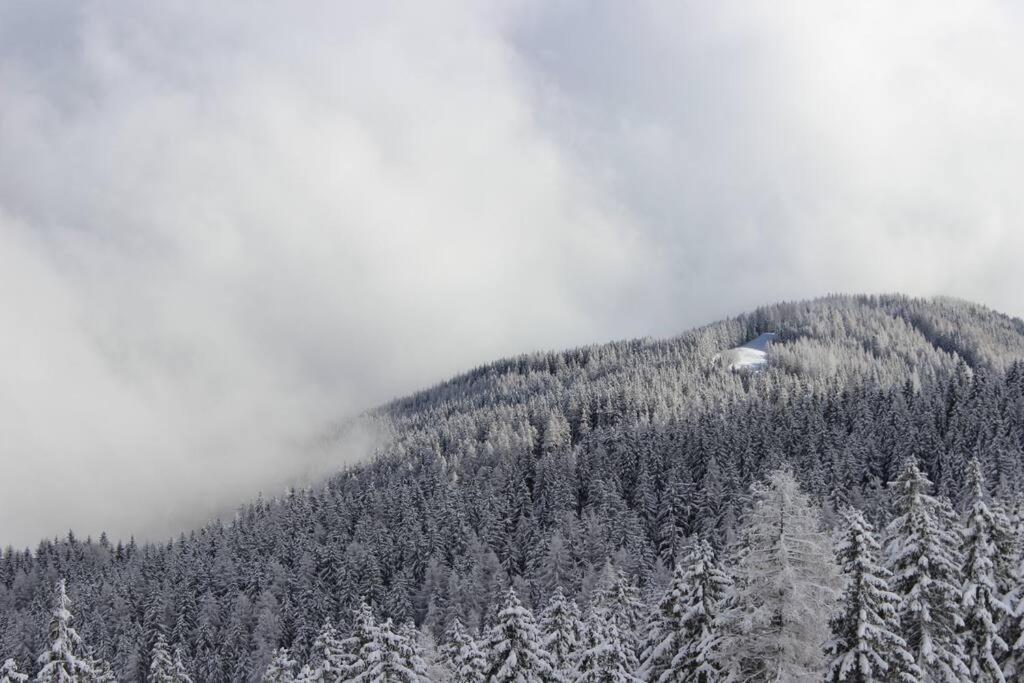 Zirbenchalet Klippitz - Entspannung mit der Kraft der Zirbe