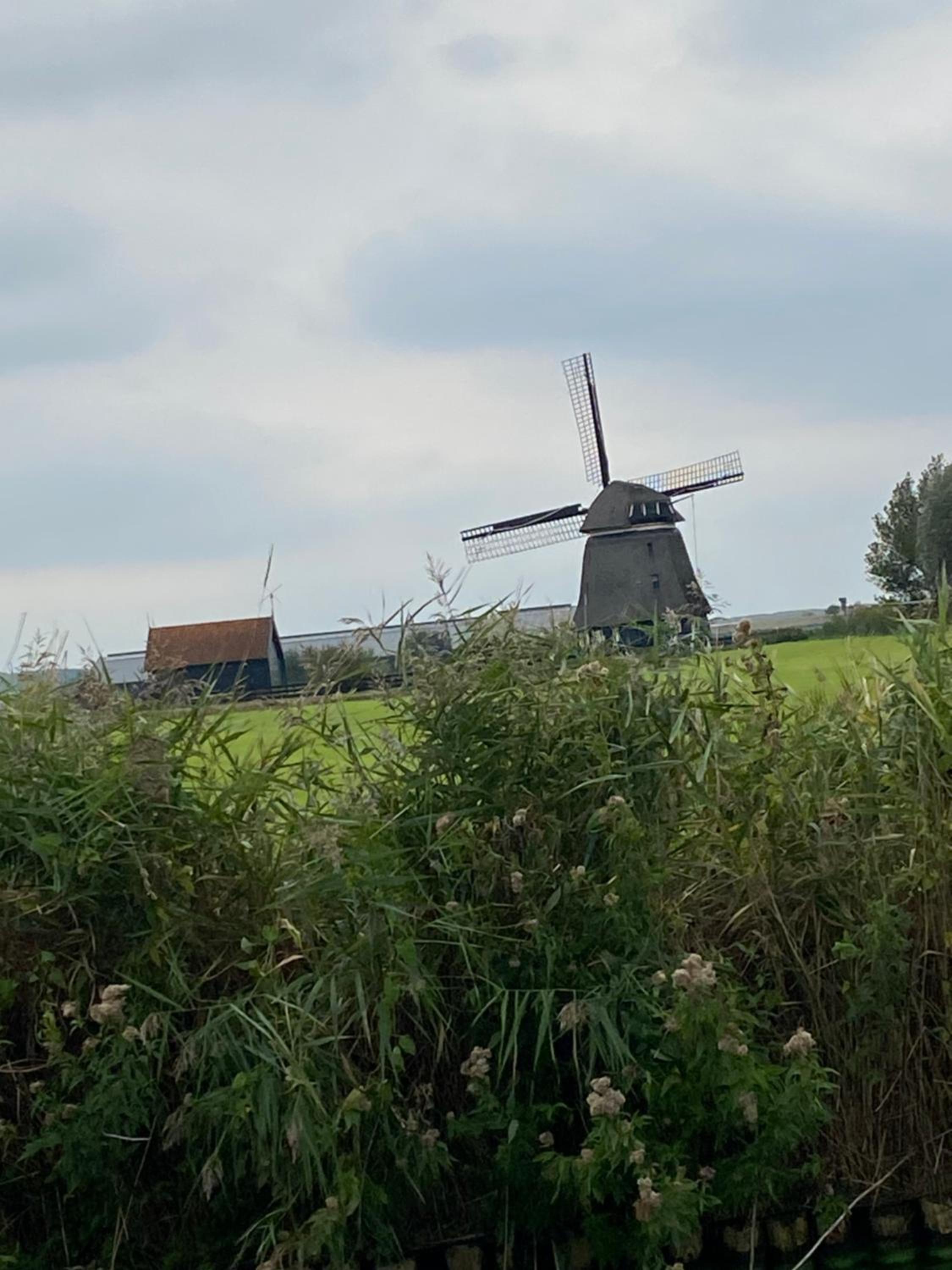 Het Zeepaardje