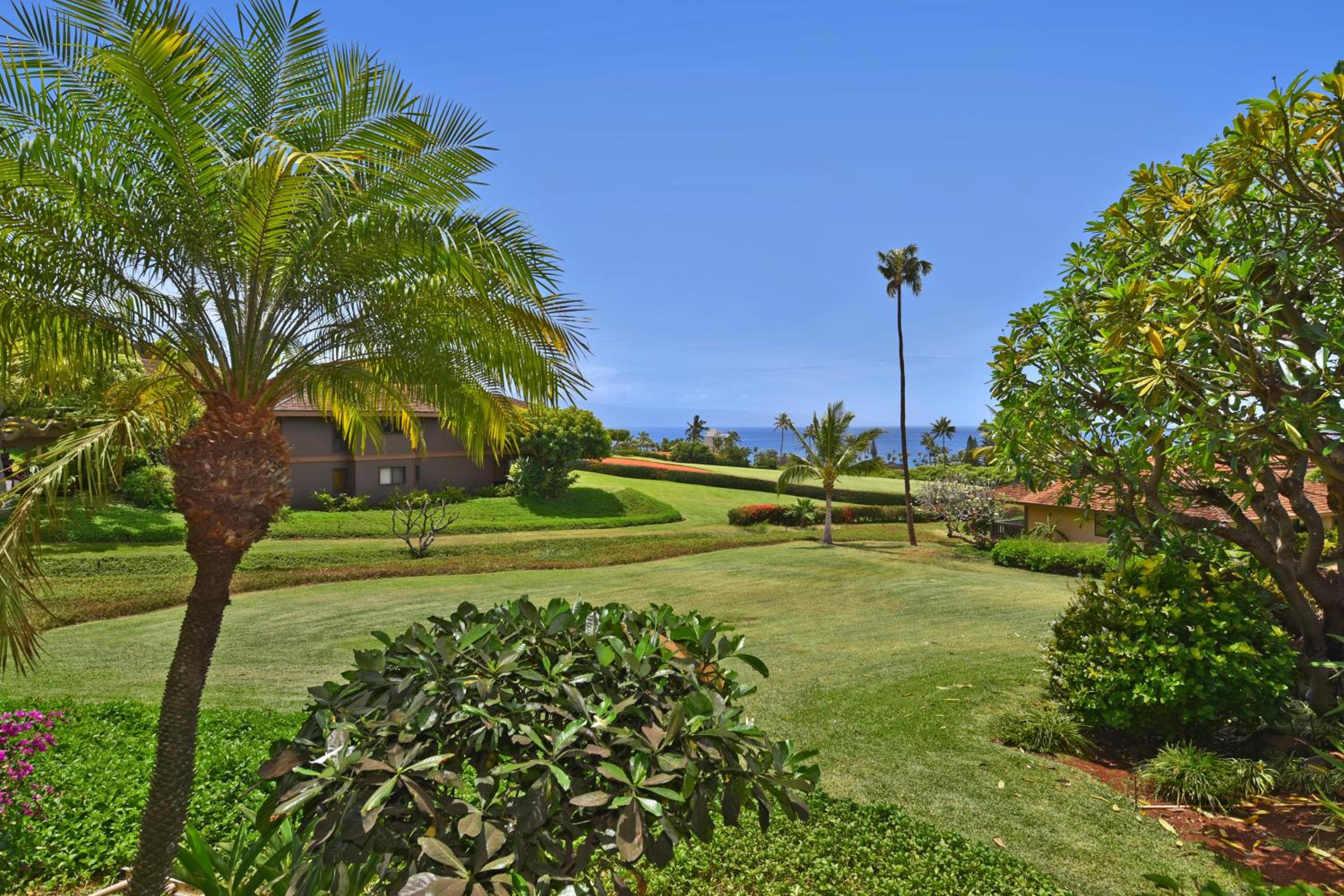 Kaanapali Plantation 11 · Modern Luxury Near Beach view 5