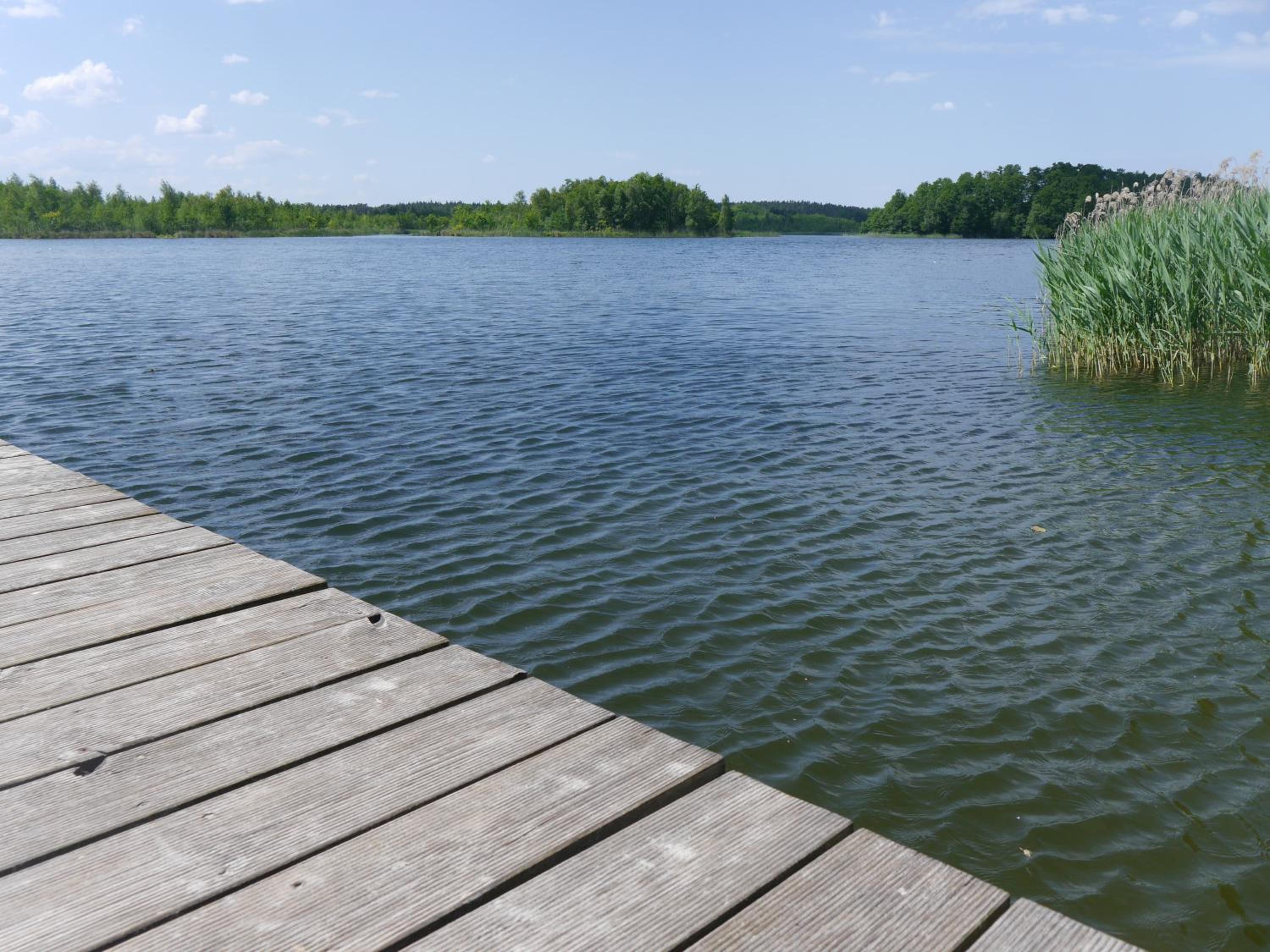 Ferienwohnung mit Terrasse in der Uckermark